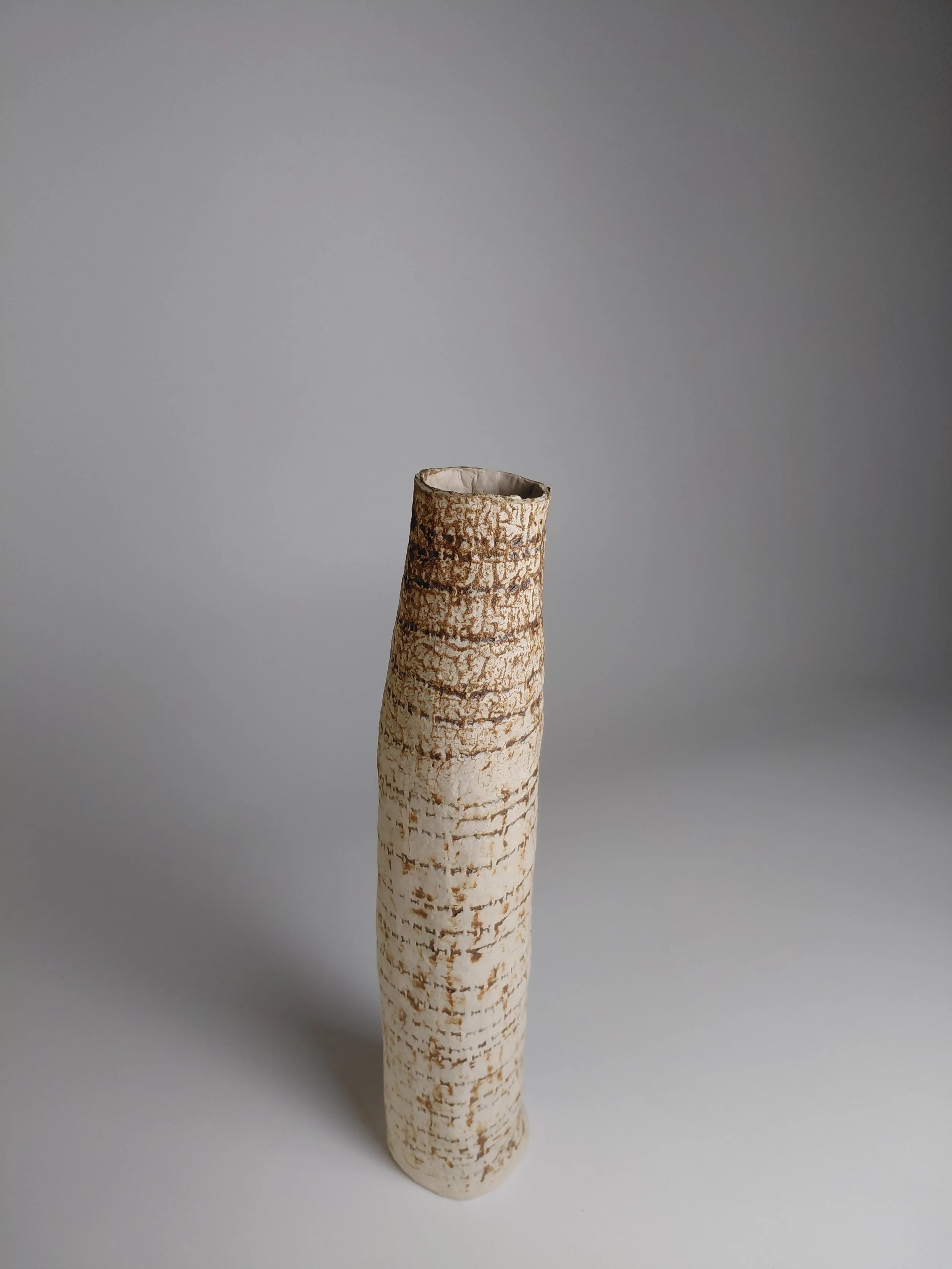 A tall, cylindrical piece of birch wood with a textured, bark-filled surface, standing upright on a plain white surface with a neutral gray background.