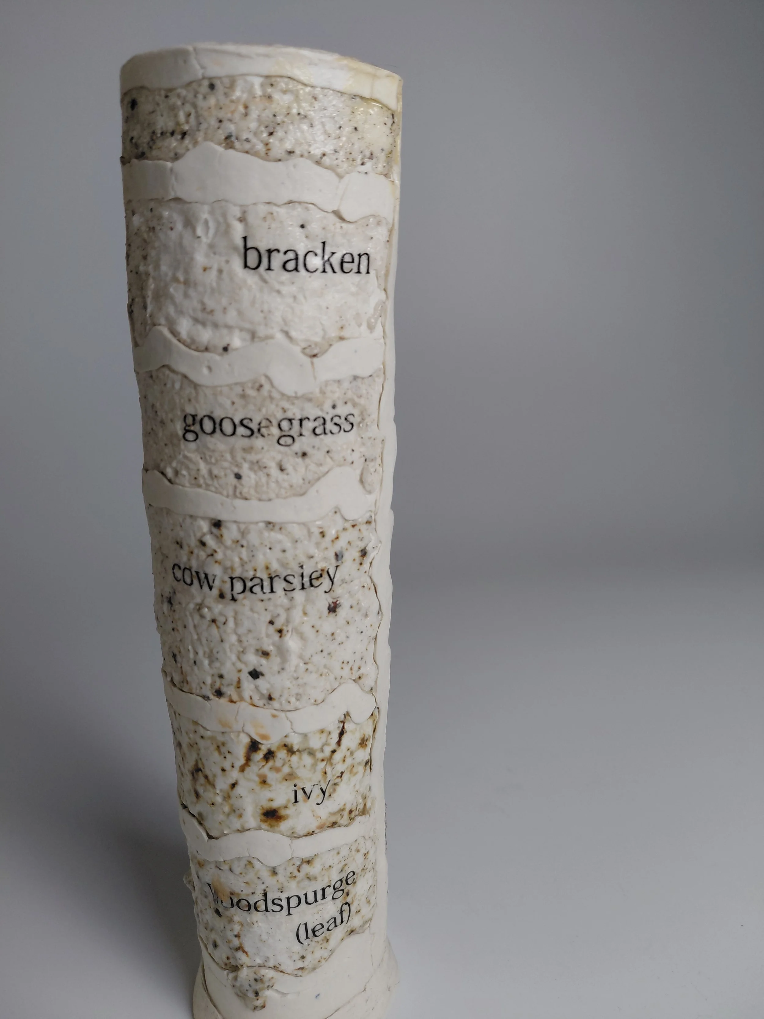 Close-up of a roll of paper towels with labels indicating different types of herbs: bracken, goose grass, cow parsley, woodspur, and other plants.