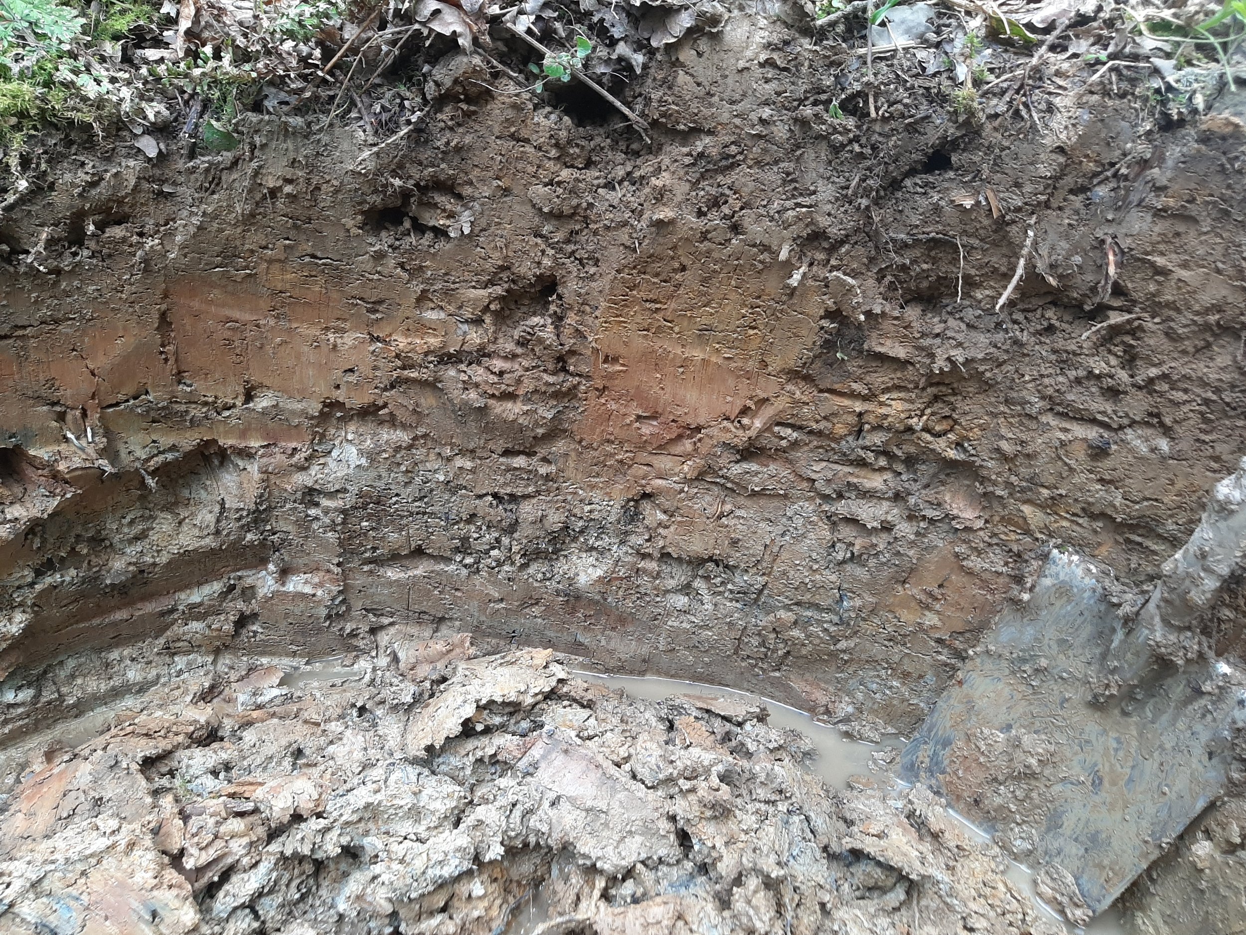 Cross-section of an earth excavation showing layers of soil and dirt, with small roots and stones embedded in the soil.