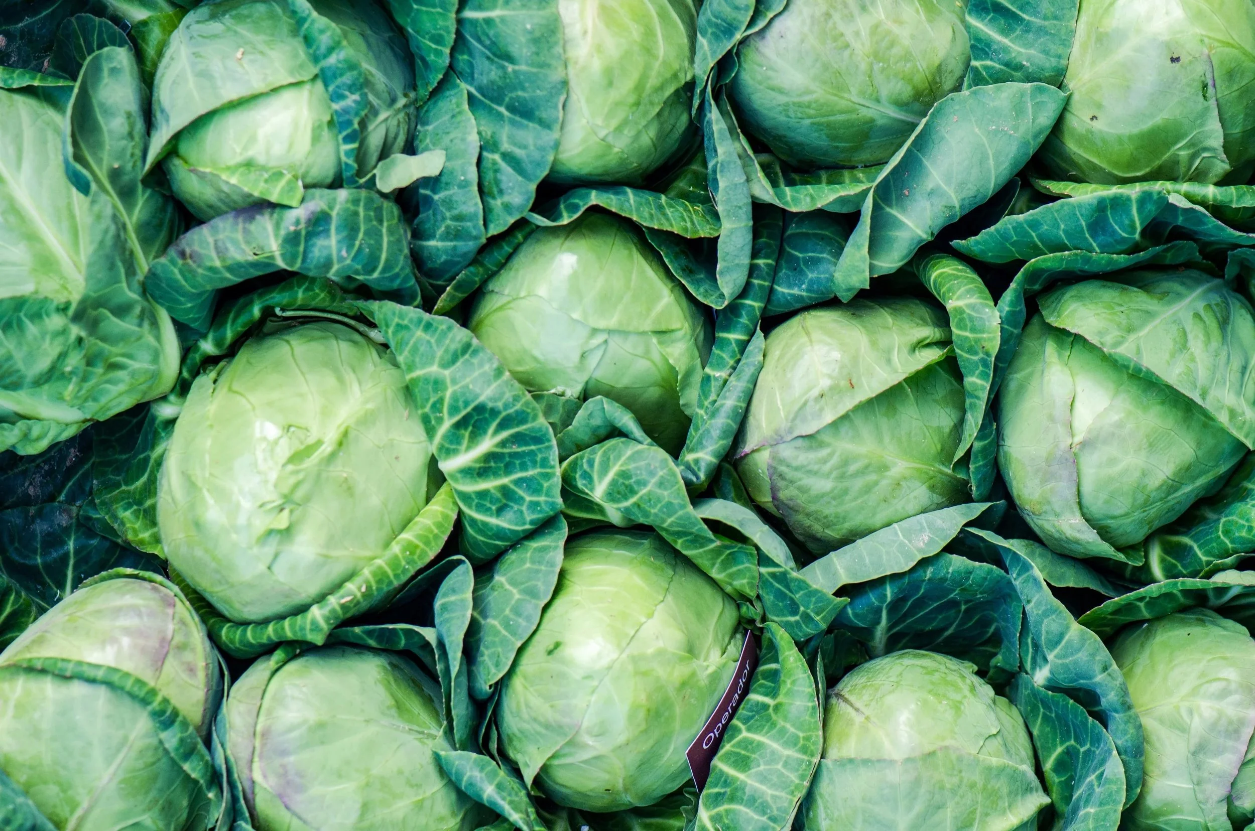 2026 Food Trends: solo dates, beans and fibre-maxxing