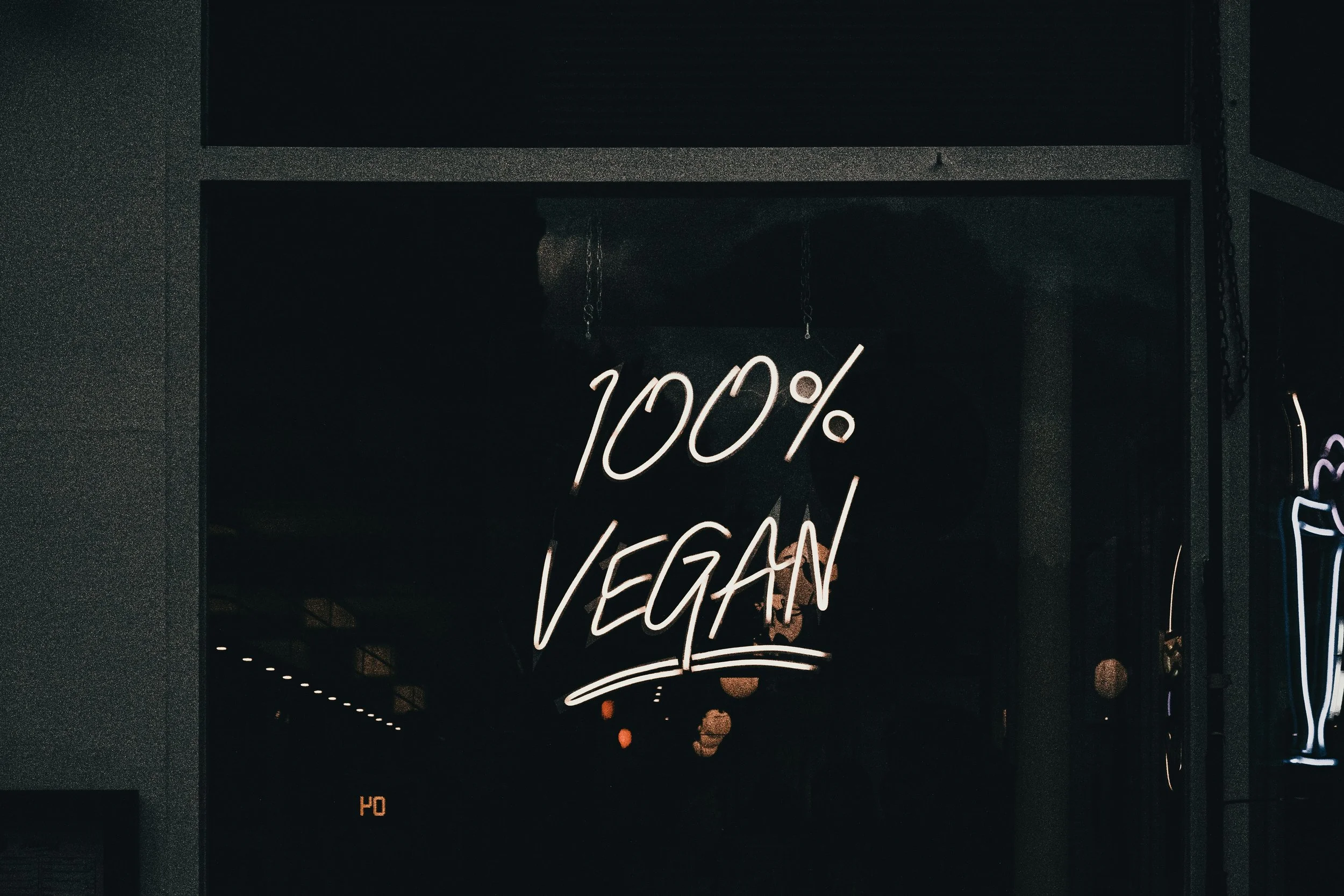 Our highlights from Bristol Vegan Fayre 