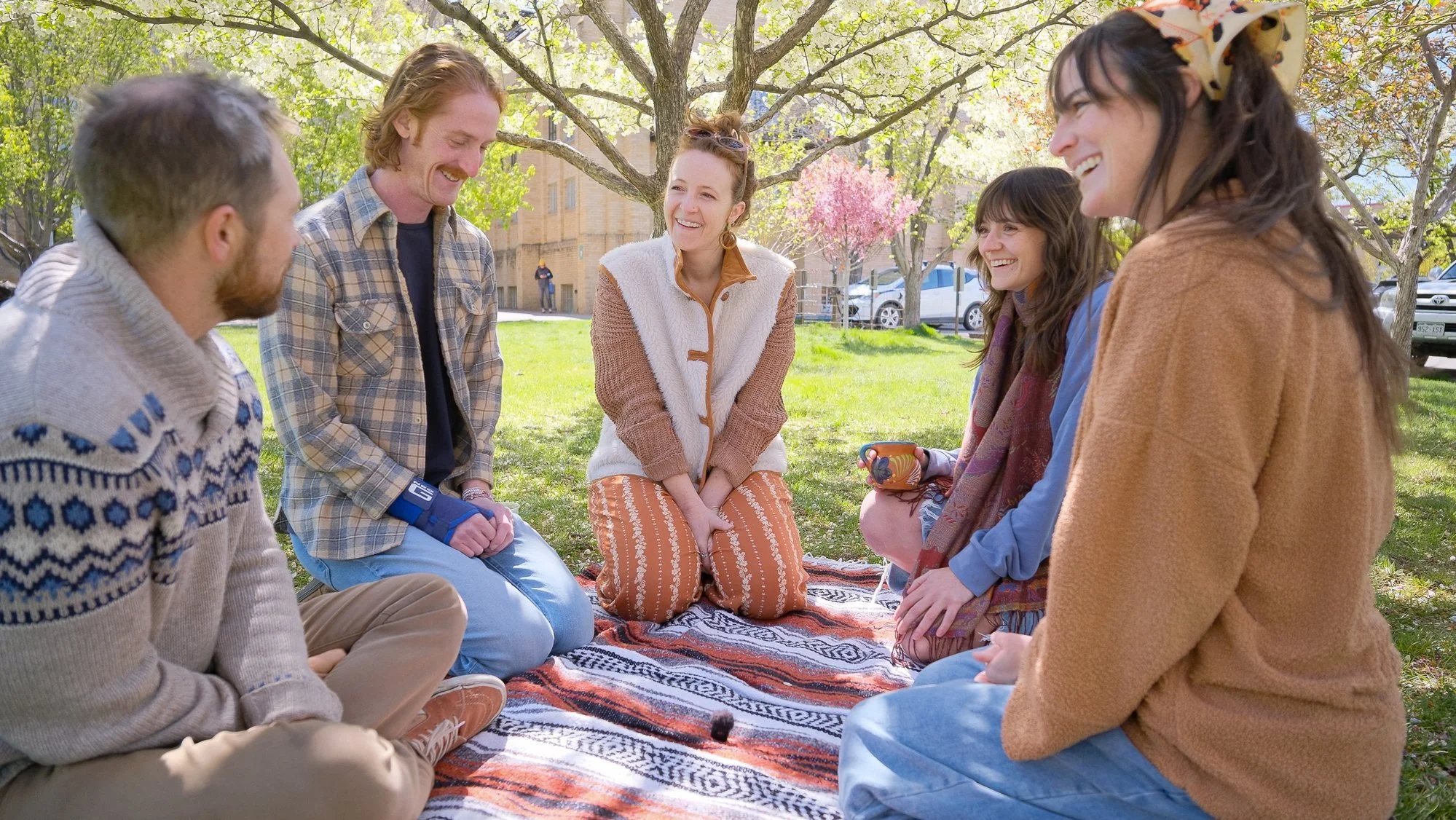 Group of six friends sitting on a blanket under a tree in a park, smiling and talking.
