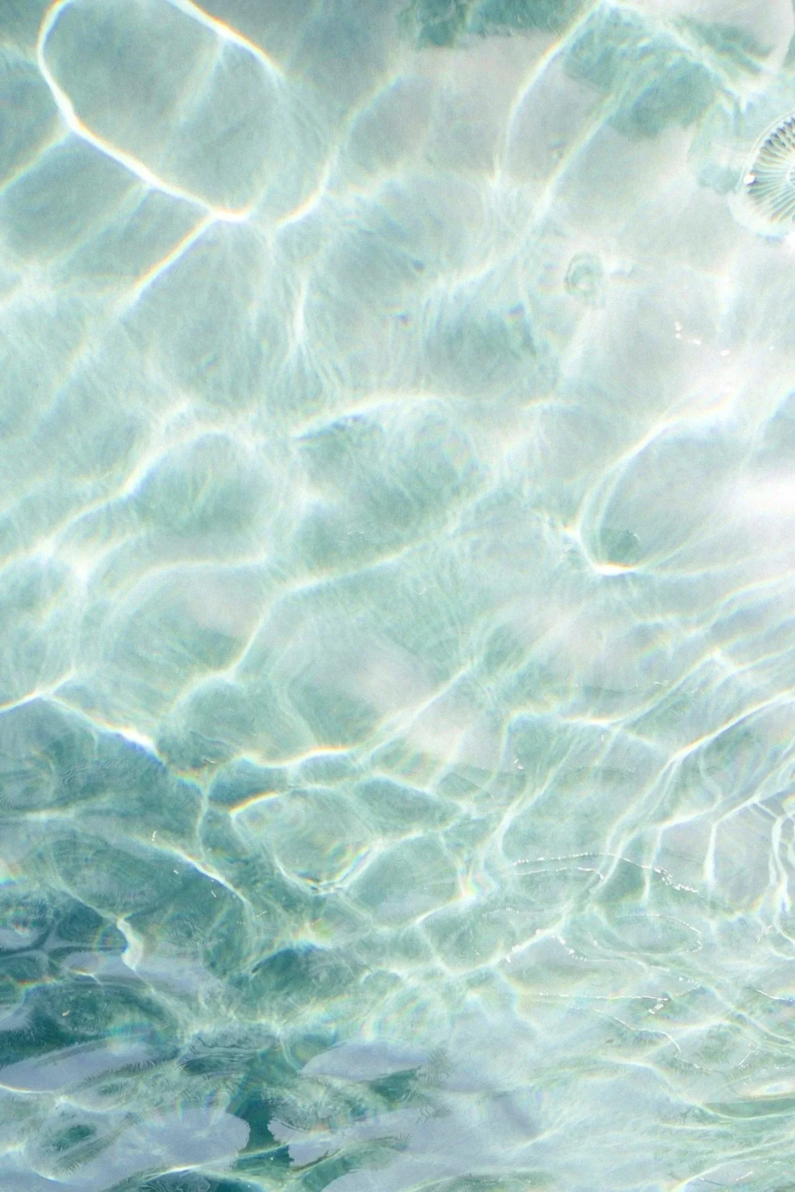 Sunlight reflecting off the clear water of a shallow pool, creating a shimmering, textured surface with rainbow-like refractions.