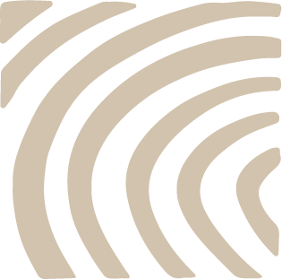 Close-up of a black and beige patterned design with concentric curved lines.