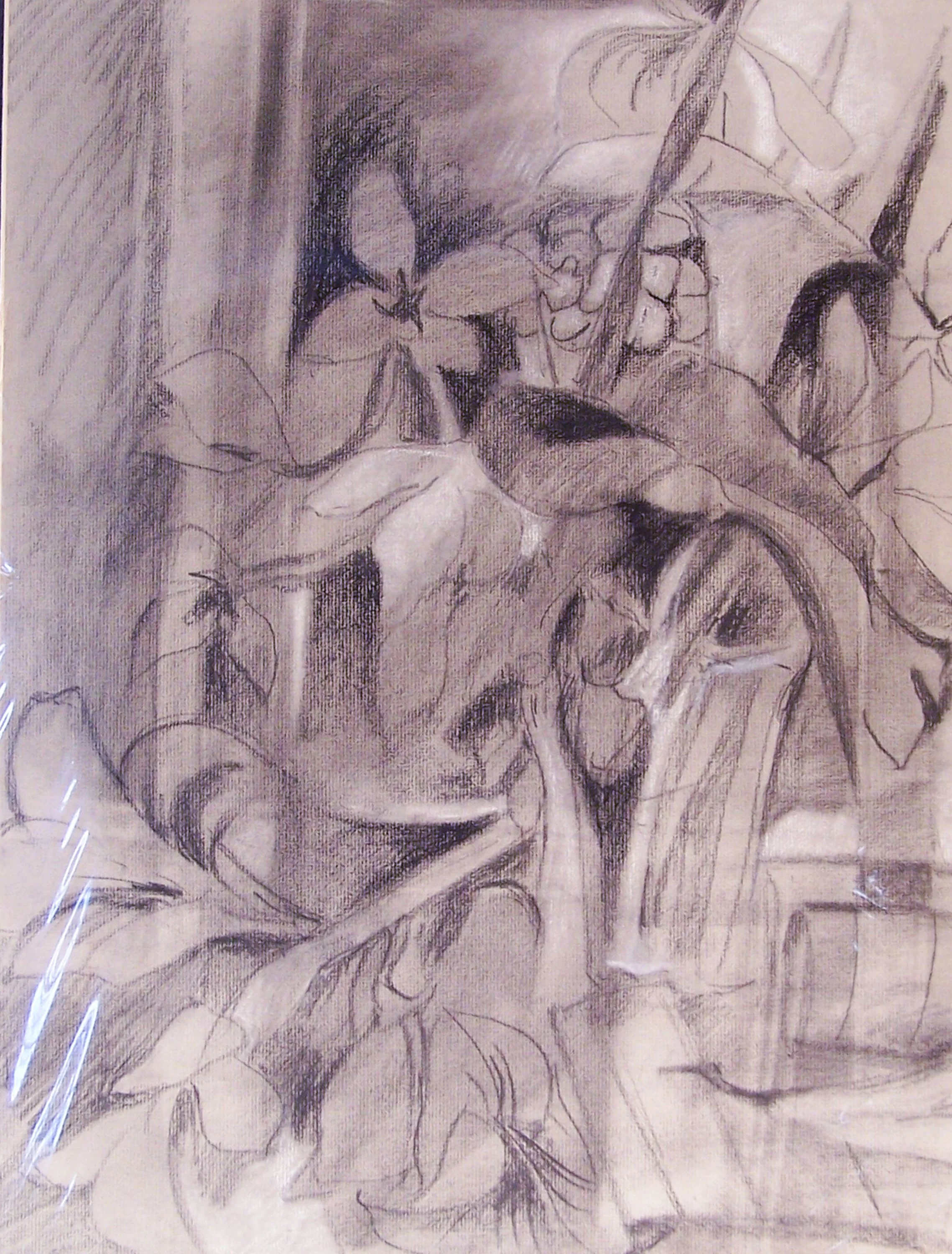 Untitled 84