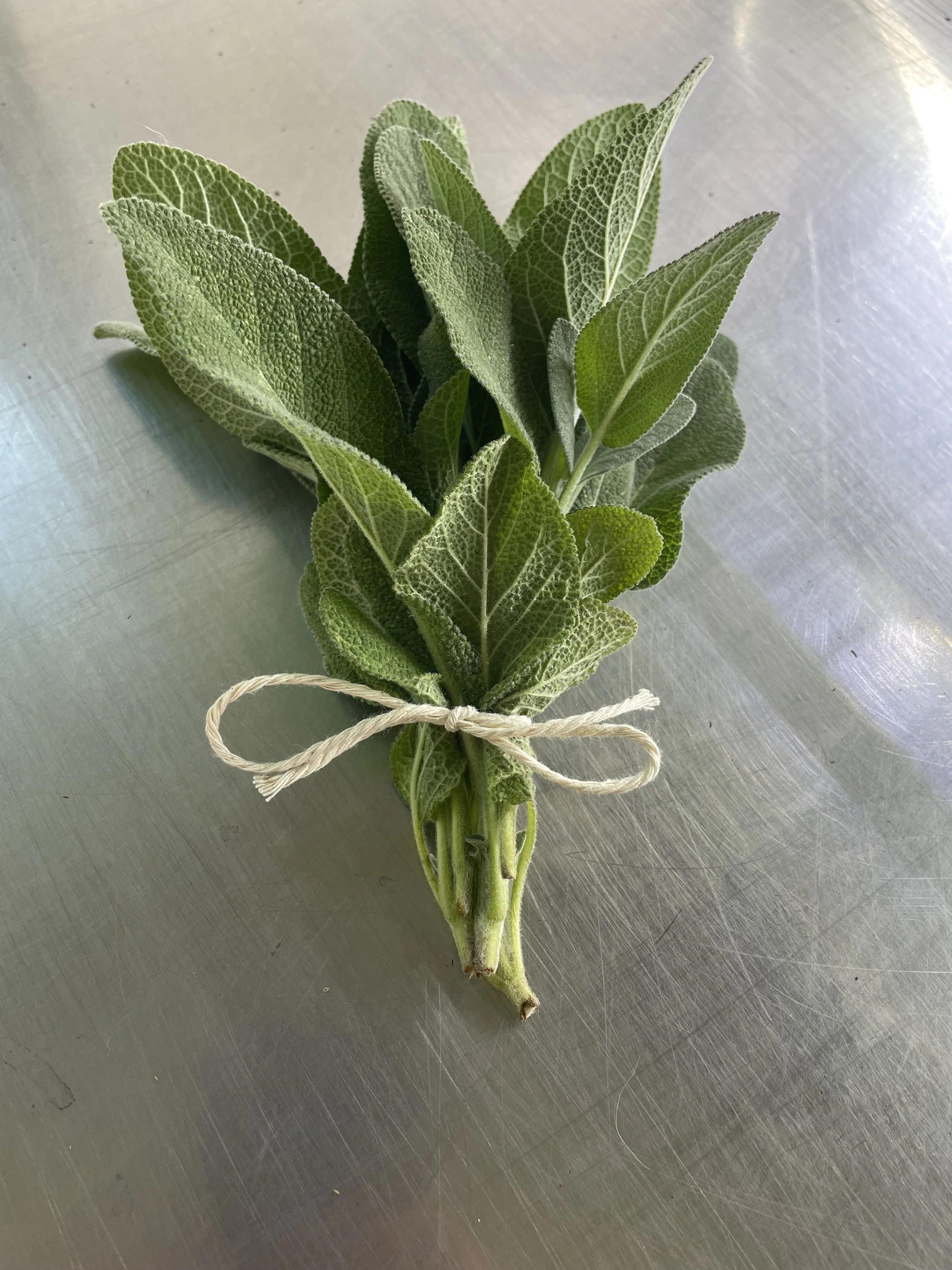 Sage   •   Fresh cut,   Strong aroma, Cooking staple