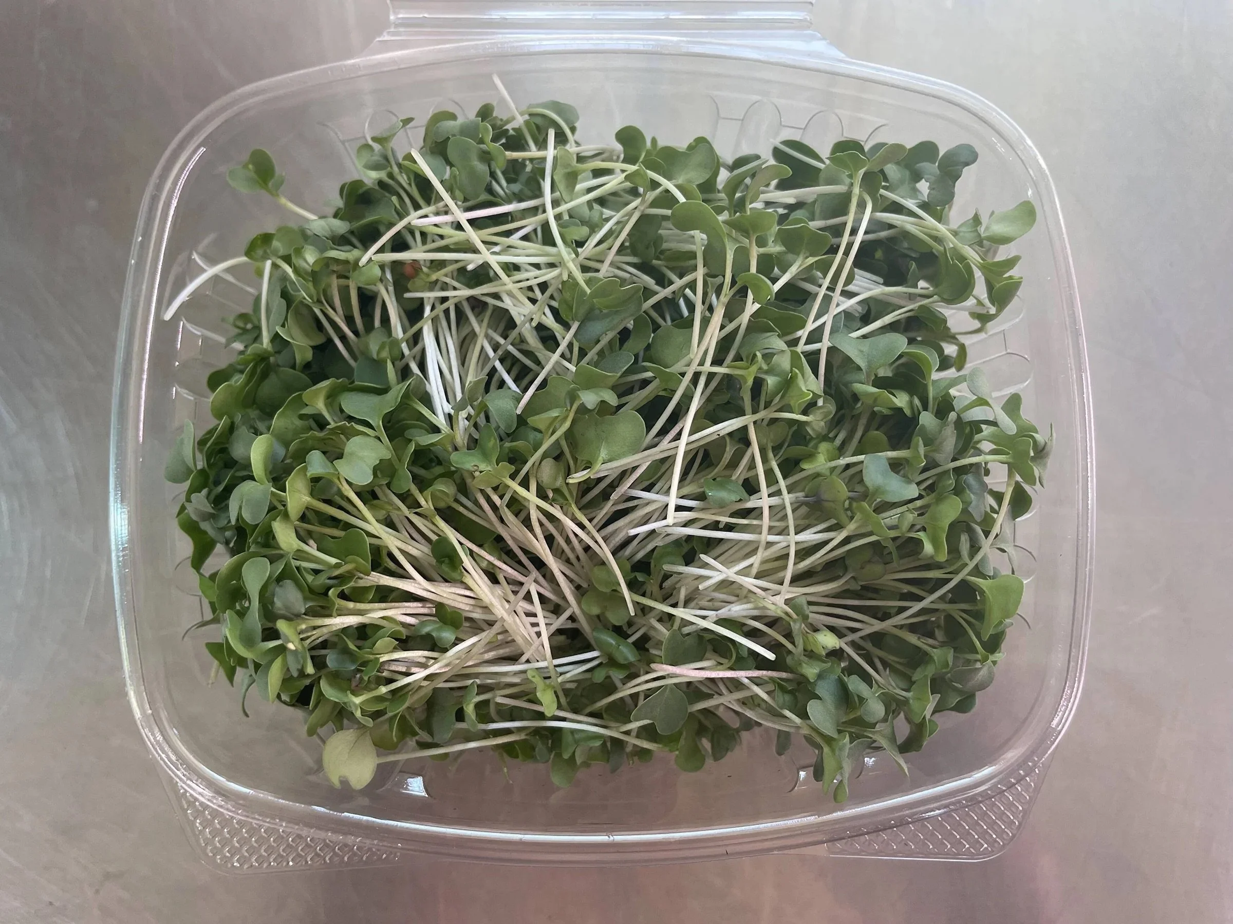 Broccoli Microgreens  •  Mild, Nutrient-dense, Smoothies & salads