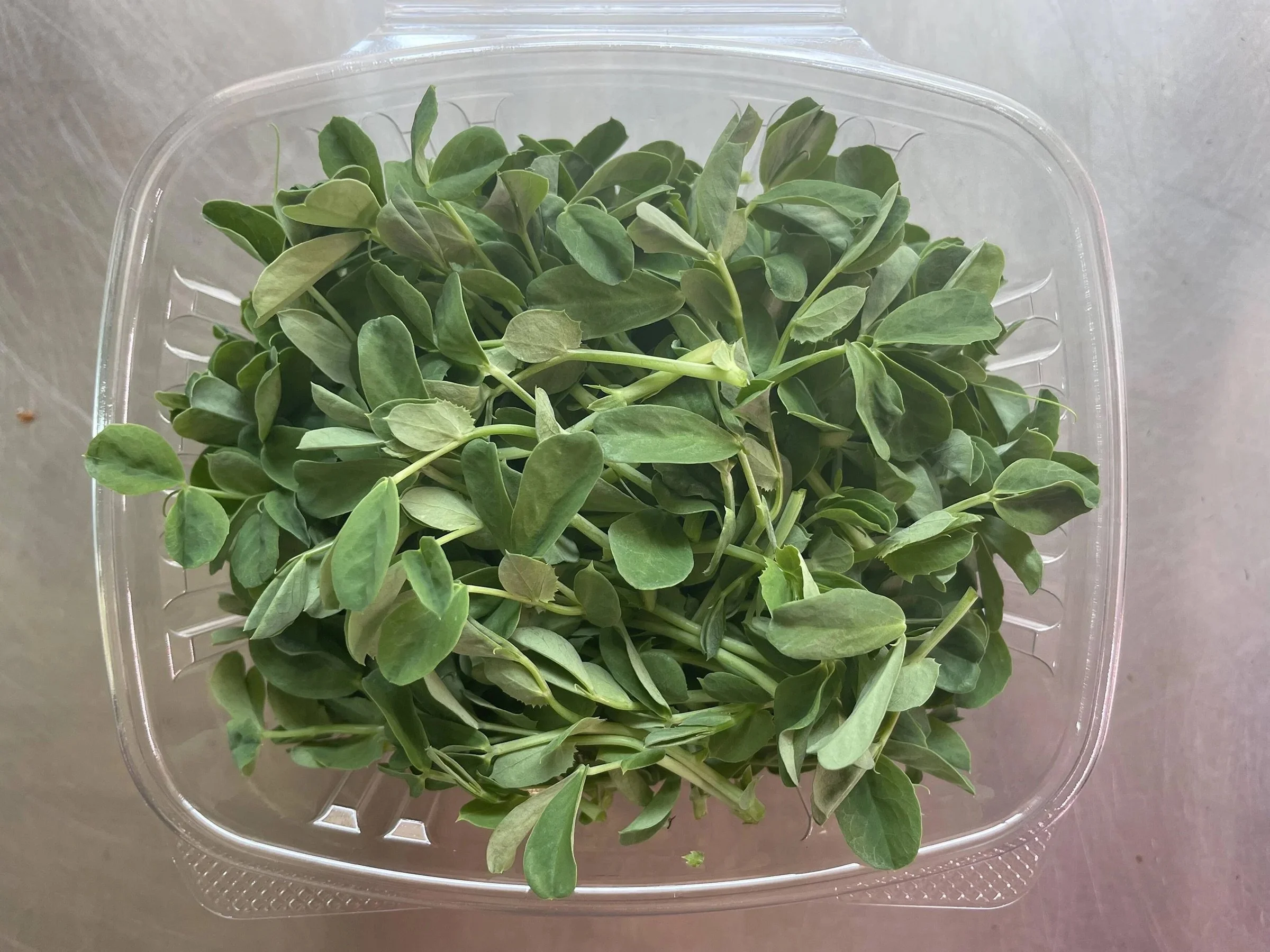 Pea Shoot Microgreens   •   Sweet, Tender, Stir fry or fresh