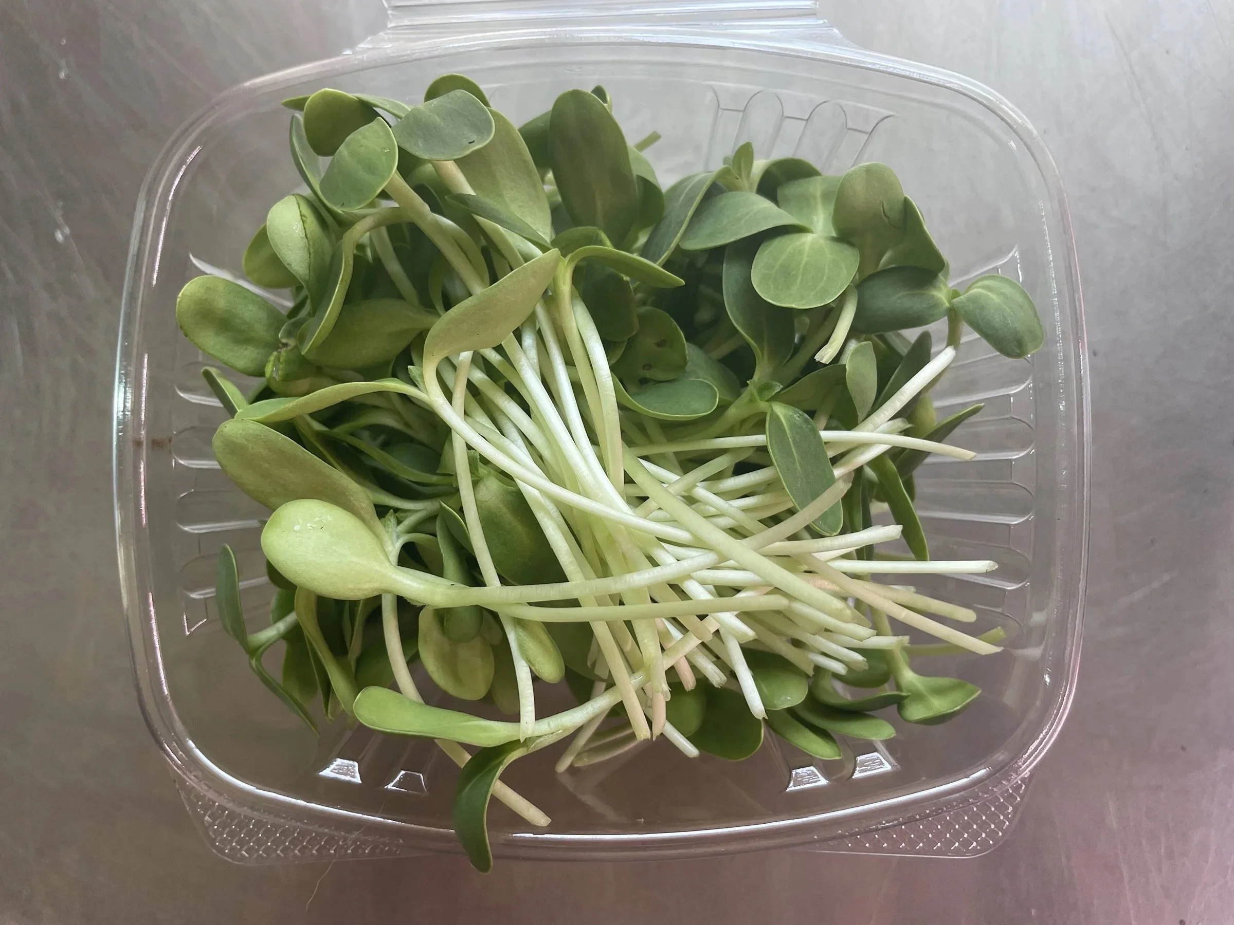 Sunflower Microgreens   •    Nutty, Crunchy, Great base green