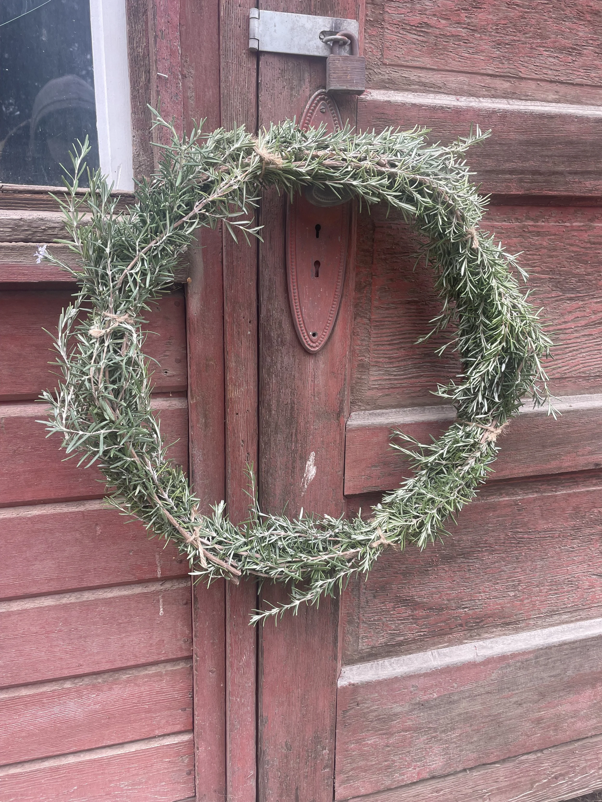 Rosemary Wreath   •    Smells great, sturdy grape vine backing 