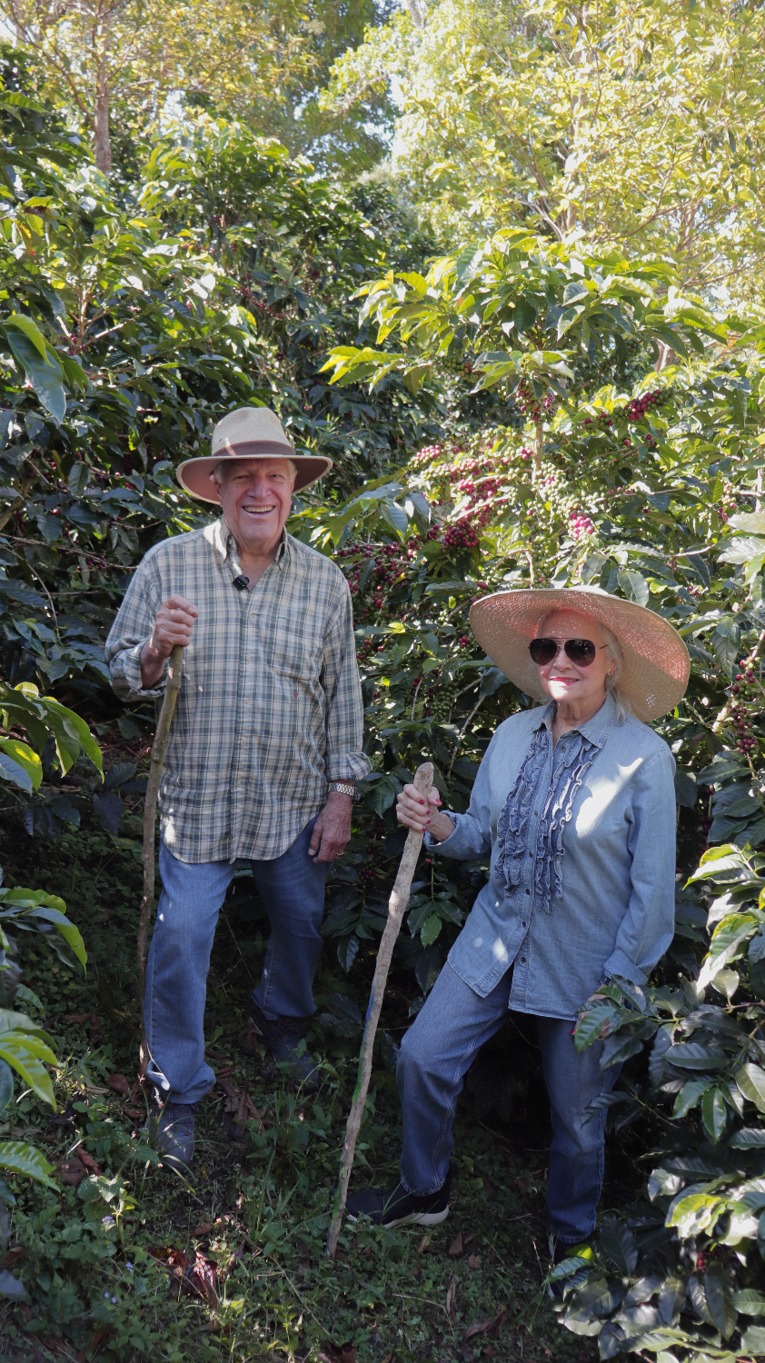 Dr. Jorge Arango y su esposa Lilines, cosechando café en un campo rodeados de arbustos de café y árboles, con sombreros y ropa de campo, en un día soleado.