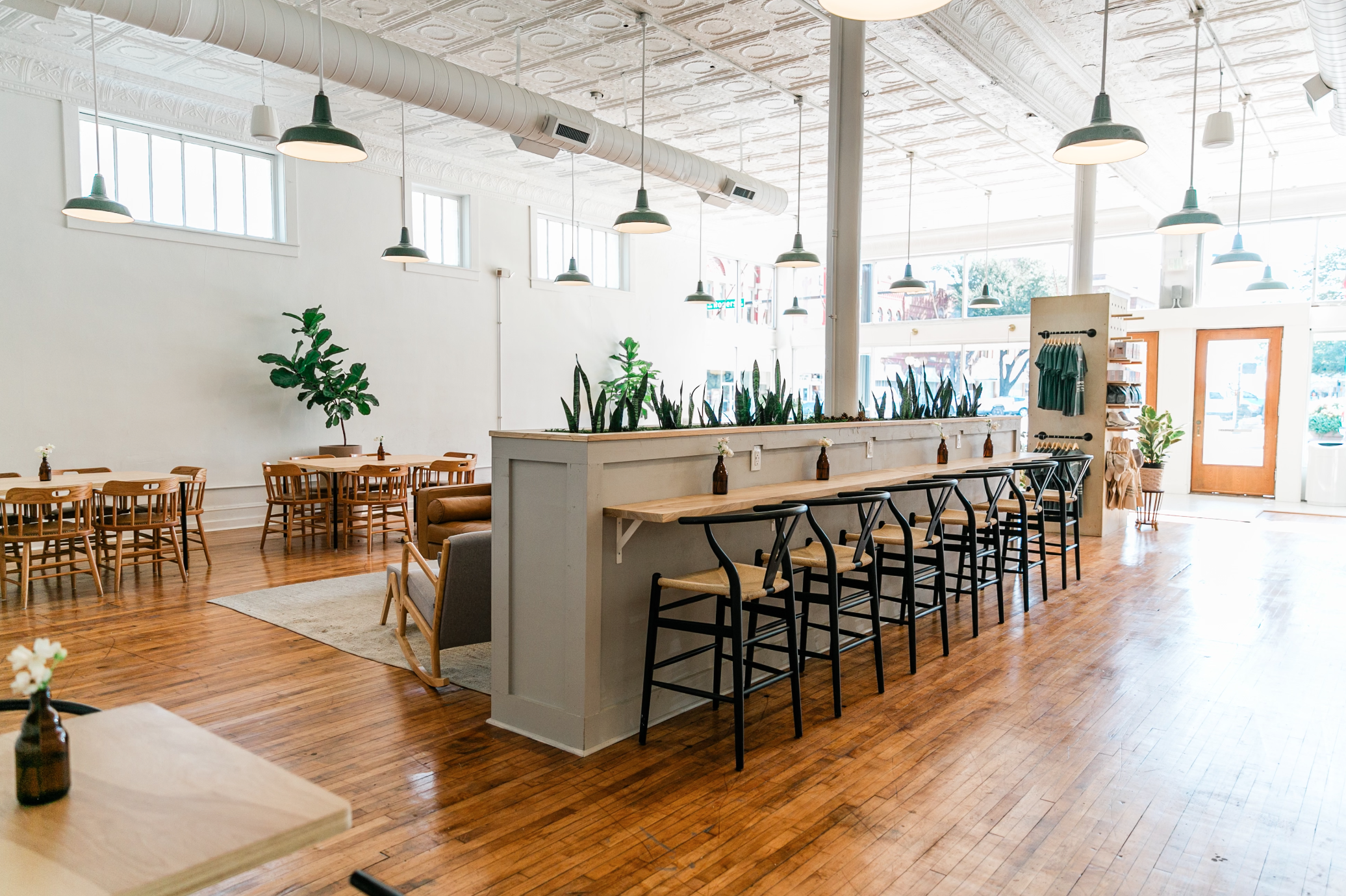 Interior of a bright, modern cafe with large windows, wooden floors, green and black chairs, indoor plants, pendant lighting, and a high ceiling with decorative tin tiles.
