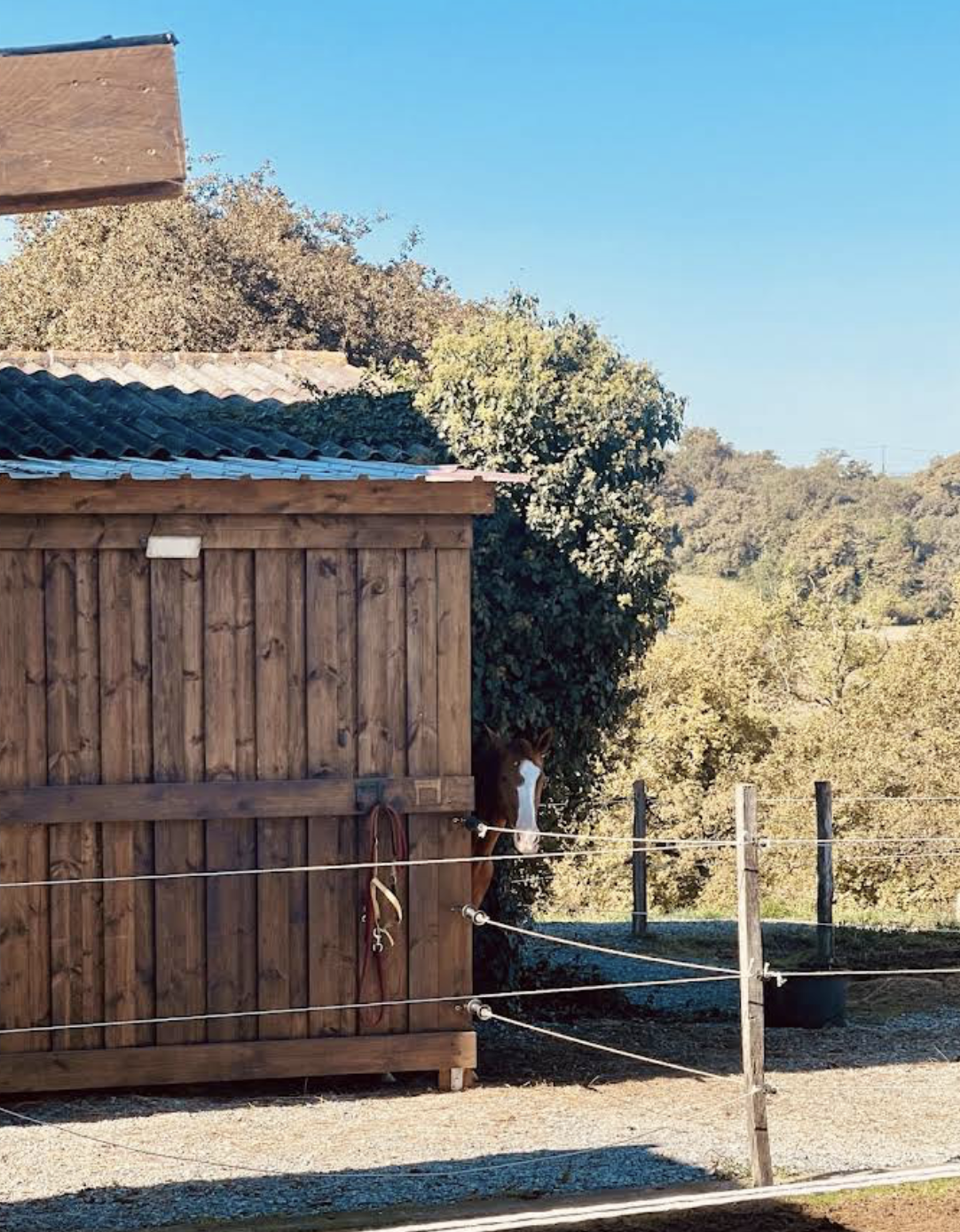 Capture d’écran 2026-04-12 à 18.07.37.png