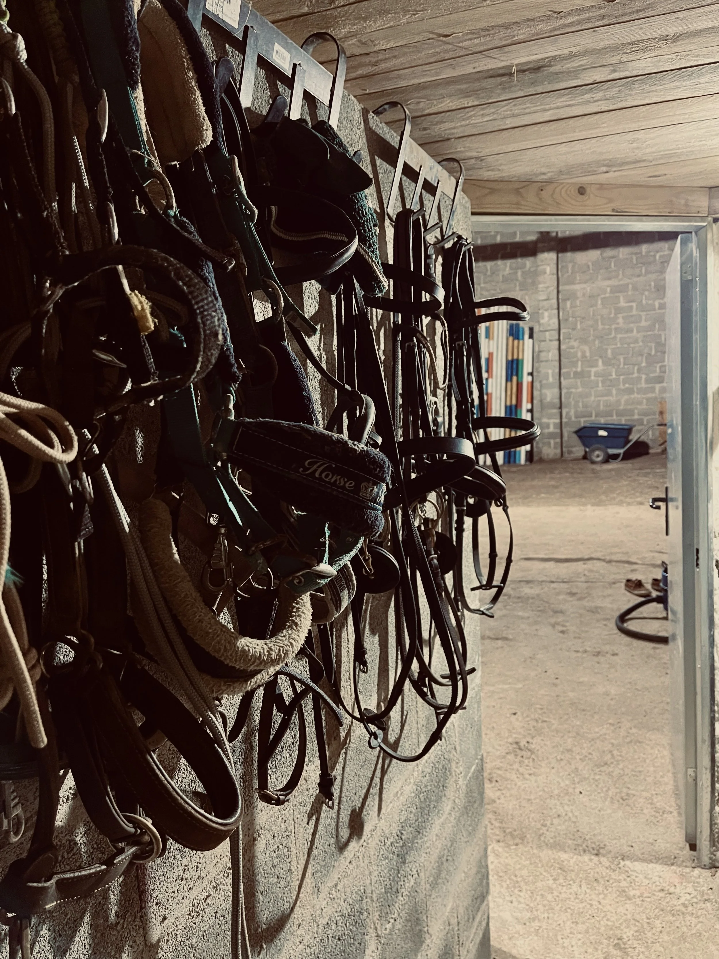 Râtelier à mors et étriers de cheval avec divers équipements équestres suspendus, dans un espace intérieur ou écurie.