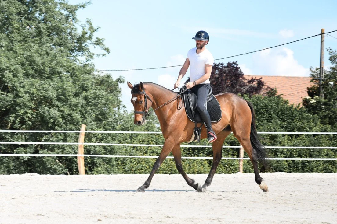 Un cavalier portant un casque blanc et une chemise blanche monte un cheval marron dans une carrière en extérieur, avec des arbres et un bâtiment en arrière-plan.