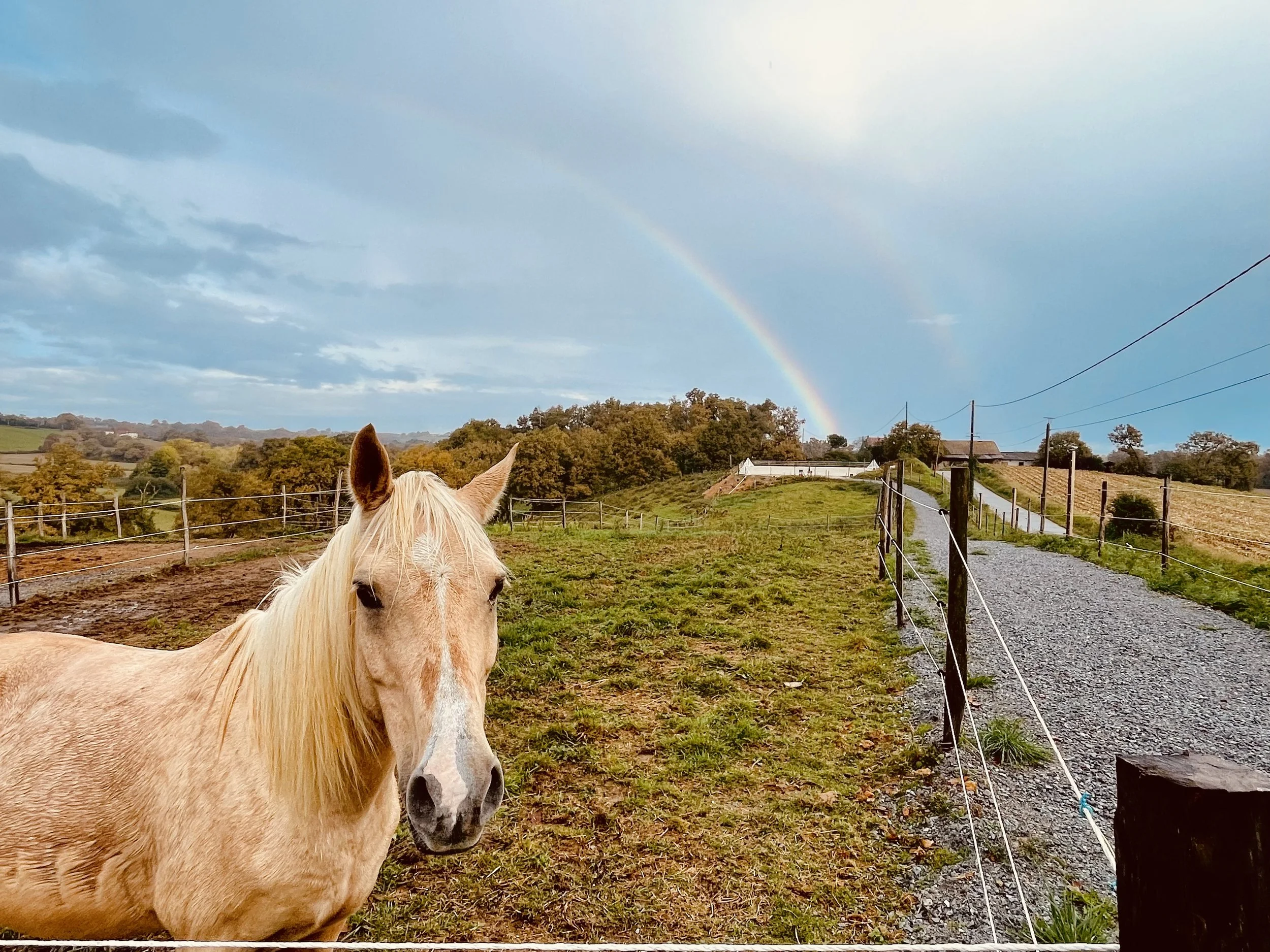 Un cheval beige dans un pâturage avec un arc-en-ciel en arrière-plan et un ciel partiellement nuageux.