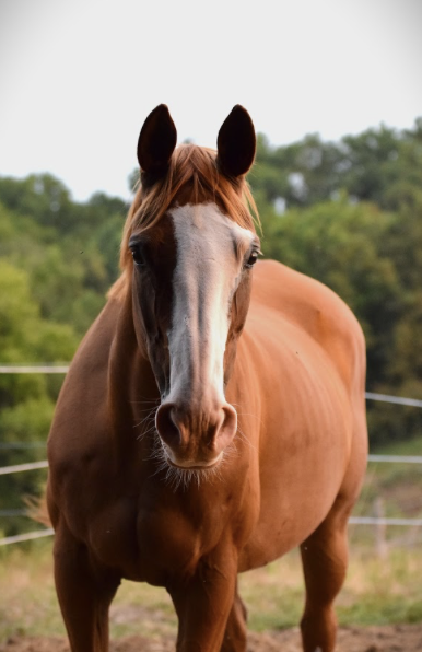Capture d’écran 2026-04-12 à 18.06.57.png