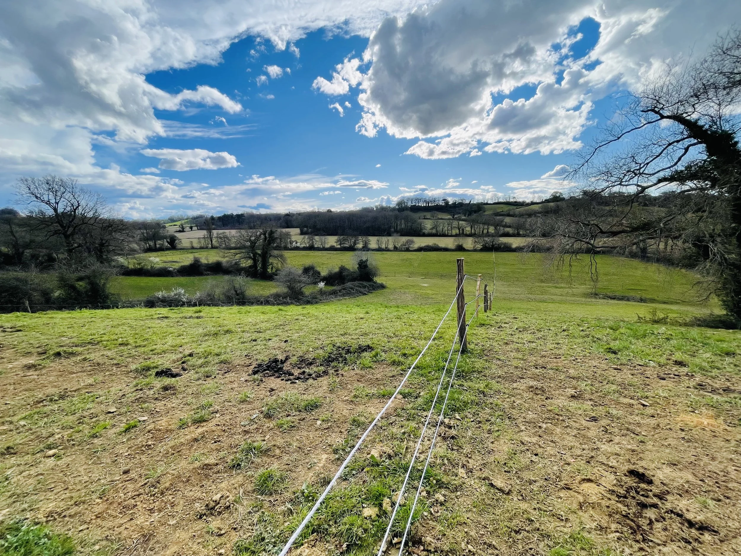 Paysage rural avec champs verts, arbres dénudés, ciel bleu avec nuages blancs et soleil, clôture en bois et corde.