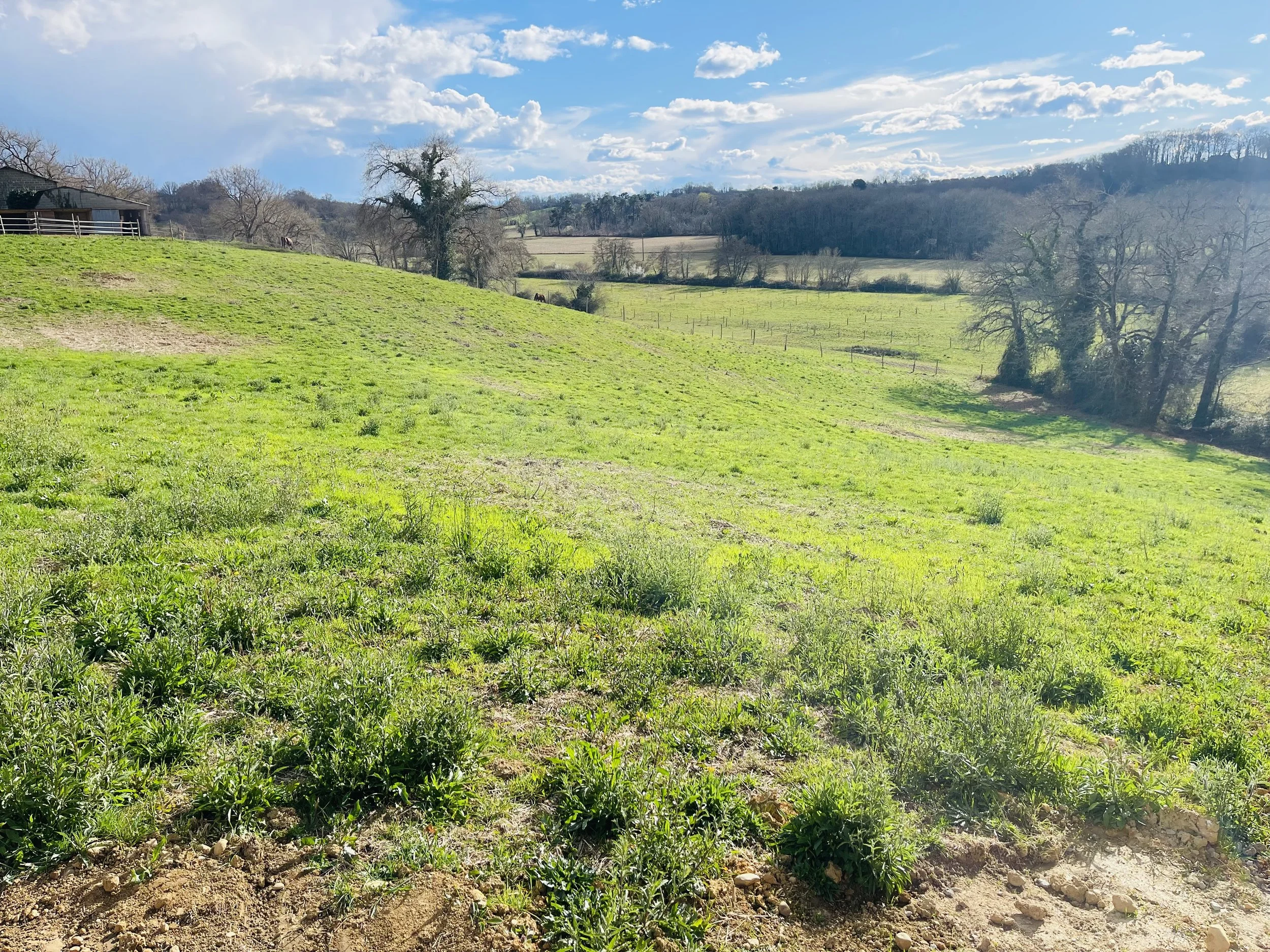 Un paysage champêtre avec des collines vertes, quelques arbres dénudés, un ciel bleu avec des nuages et une maison en bois à gauche.