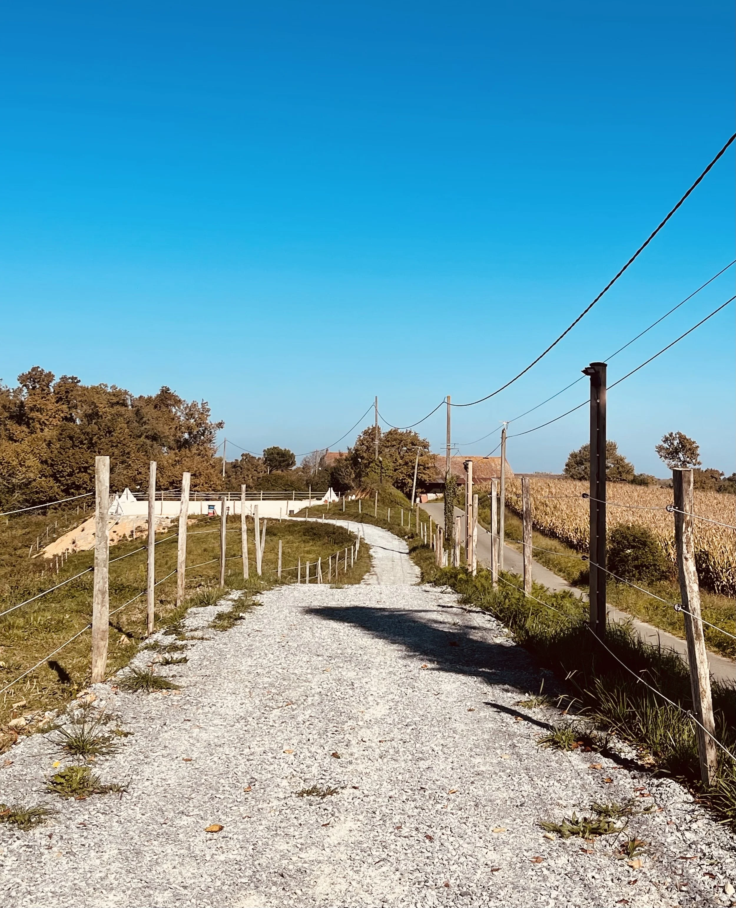 Chemin de gravier bordé de clôtures en bois, avec des champs et des arbres sous un ciel bleu clair.