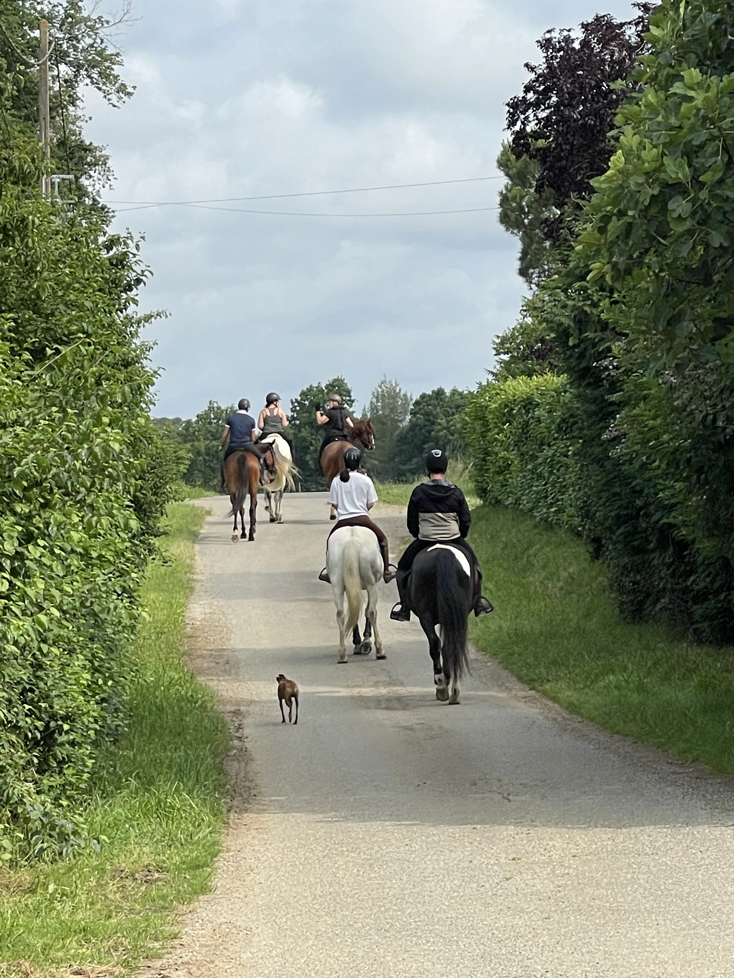 Groupe de personnes à cheval sur un chemin rural bordé d'arbres et de haies.