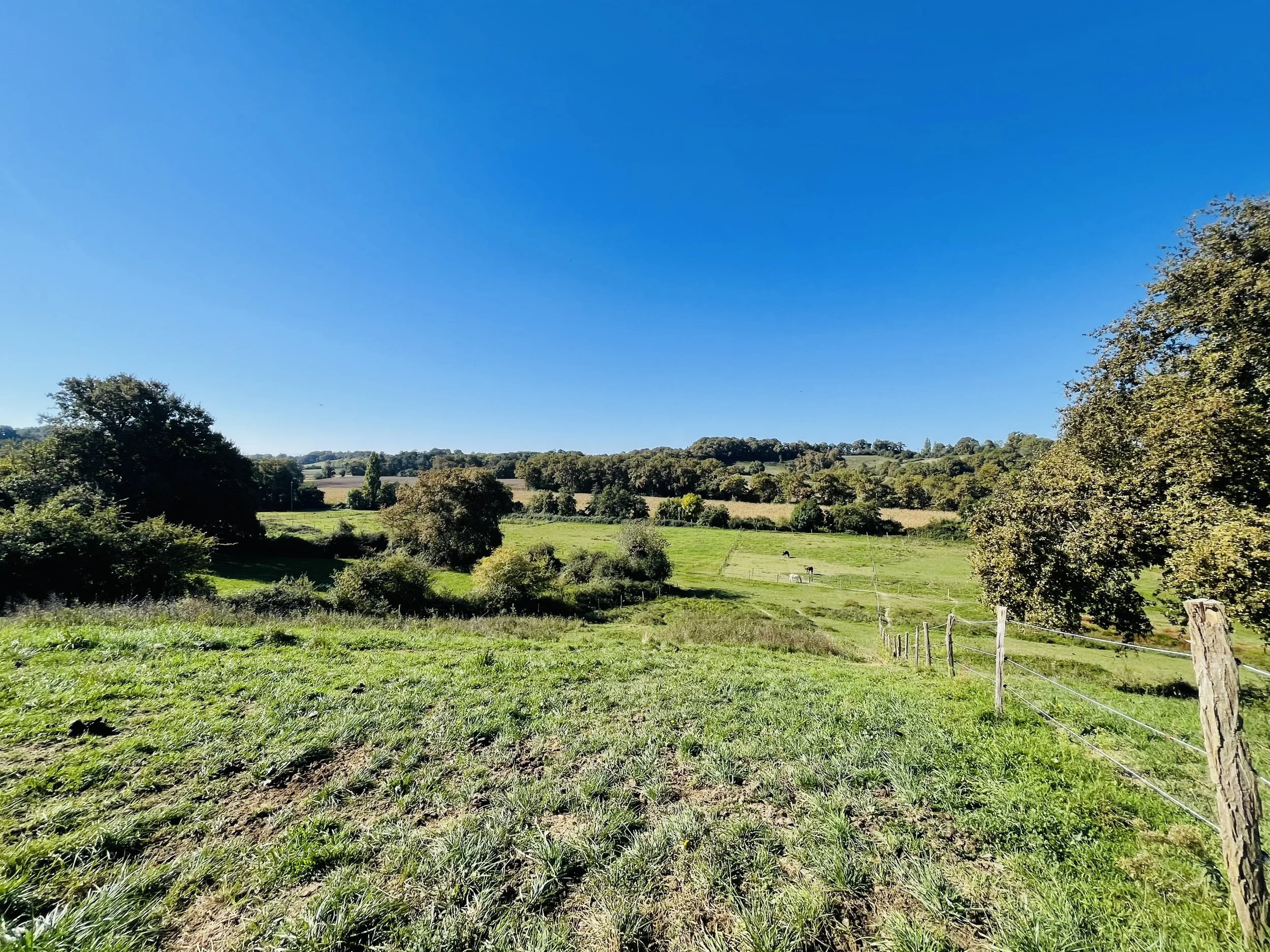 Un paysage de campagne avec des champs verts, arbres, et un ciel bleu clair en arrière-plan.