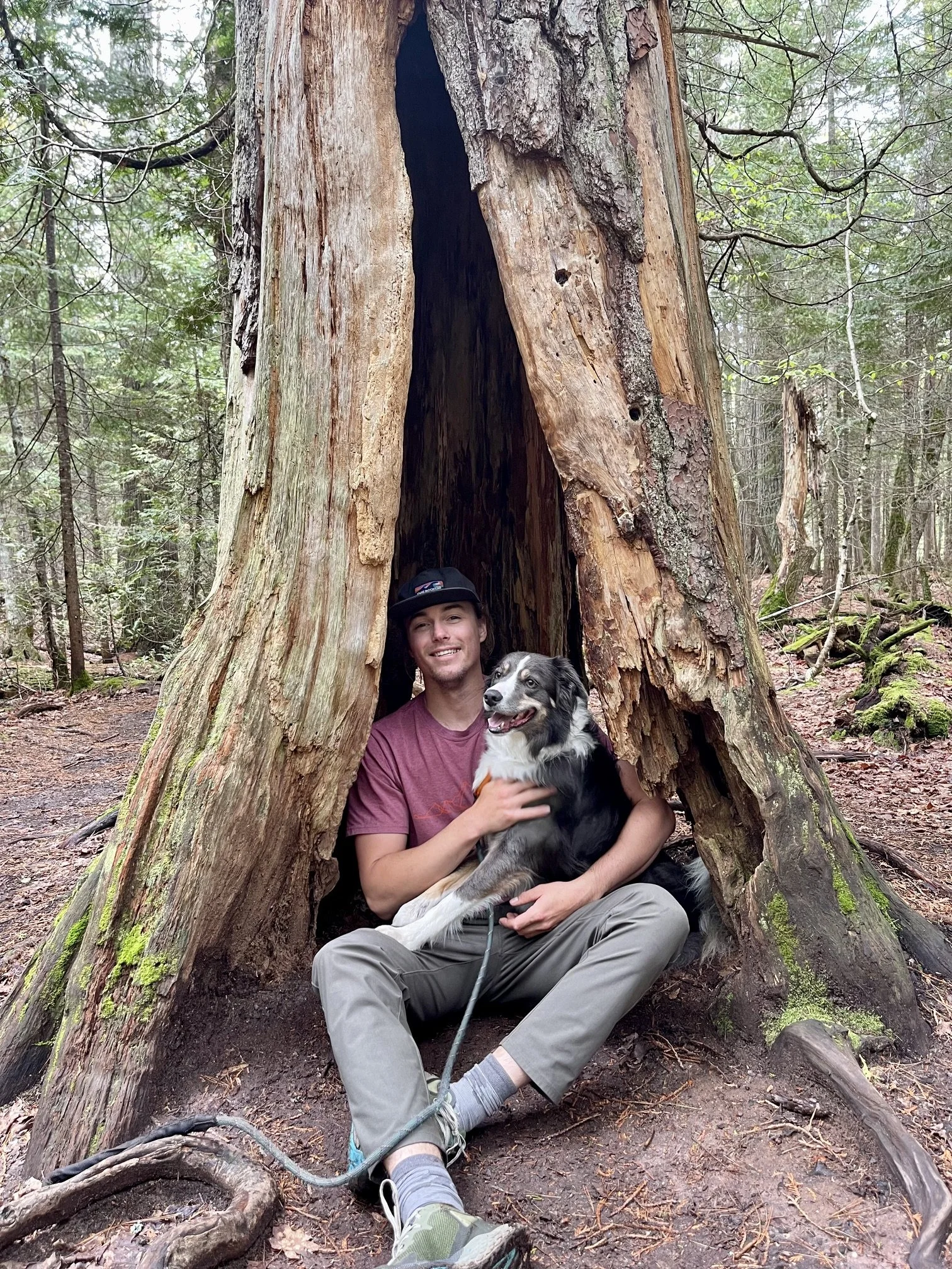 A man sitting inside a hollowed-out tree trunk in a forest, holding a black and white dog, both smiling, surrounded by trees and forest floor with moss and fallen leaves.