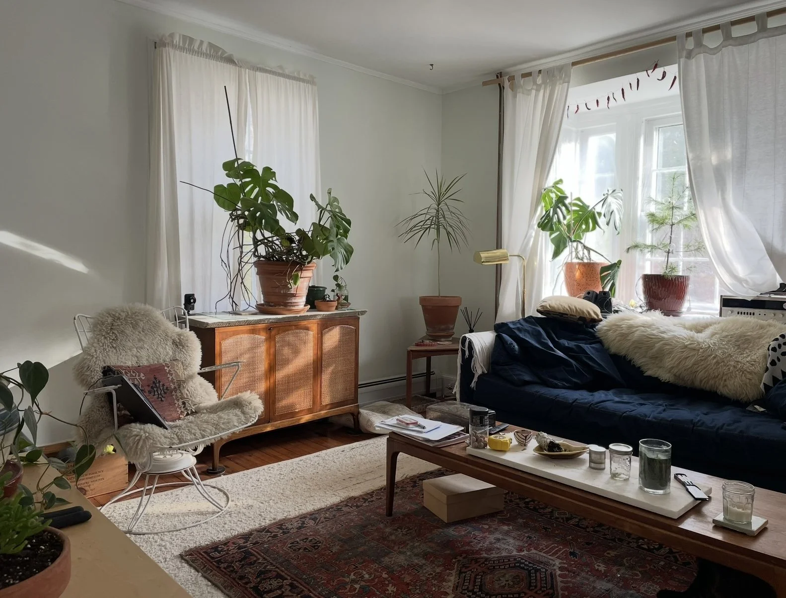 A cozy living room with white walls, large windows with white curtains, and several houseplants on furniture and windowsills. There's a white armchair with a sheepskin throw and decorative pillow, a wooden cabinet with more plants on top, a navy blue