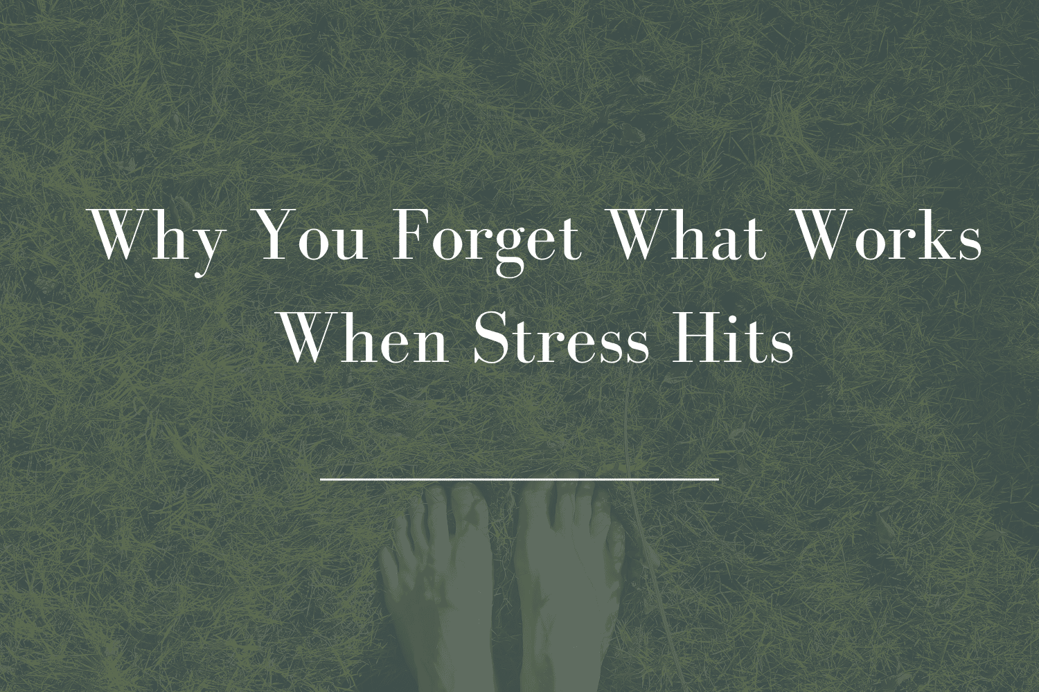 Why You Forget What Works When Stress Hits