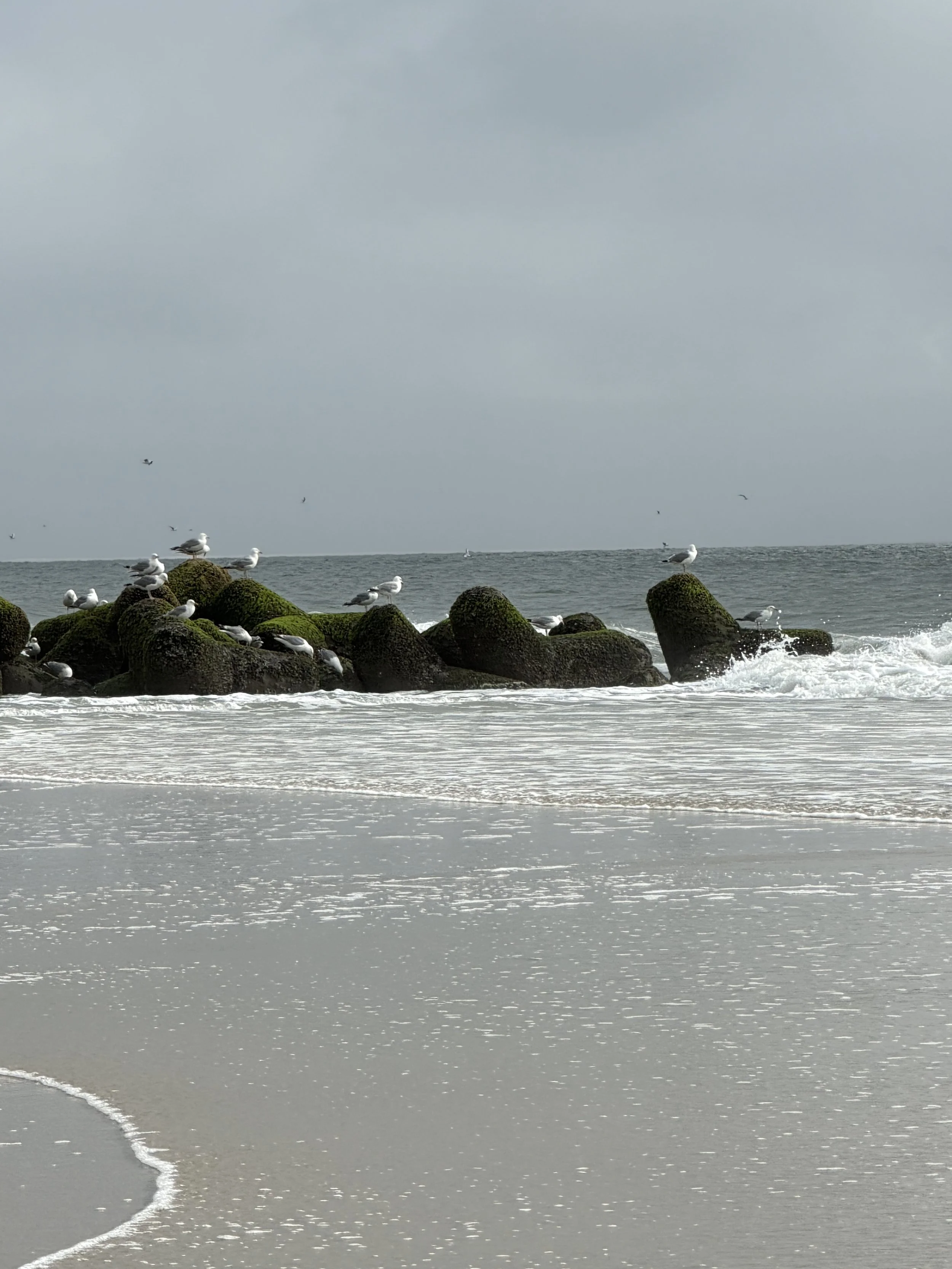 Low tide hang out on West beach