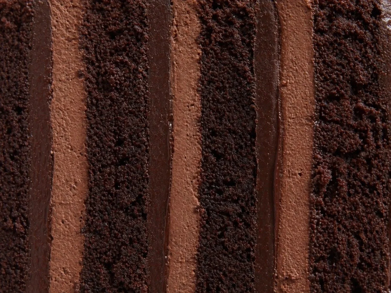 Cross-section of chocolate cake layered with chocolate ganache and buttercream
