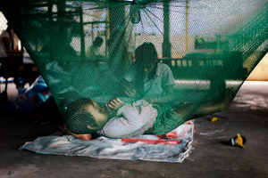 World Dengue Day | One World Against Dengue