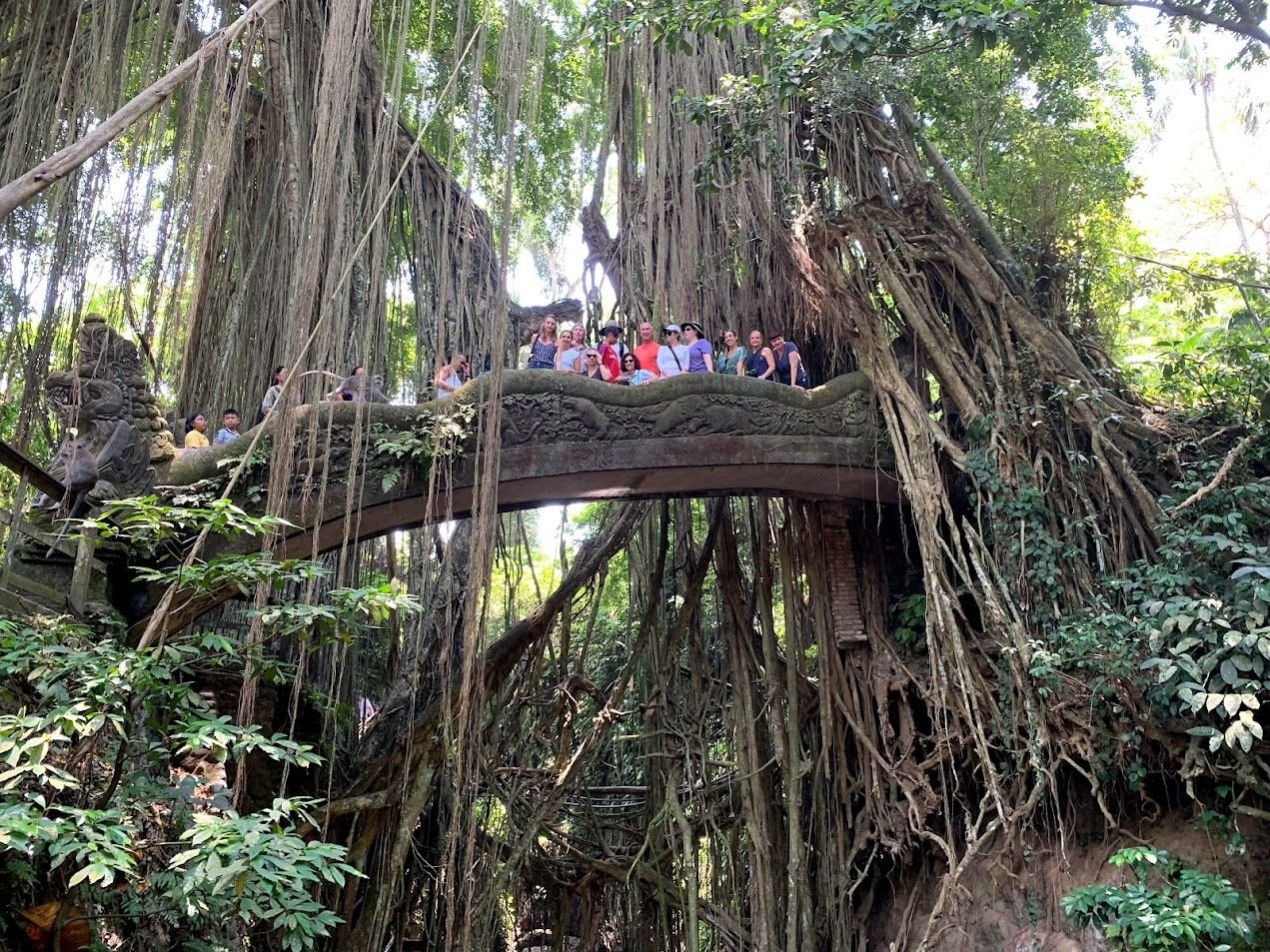 Tourists standing on a bridge in a jungle with large tree roots and vines surrounding them.