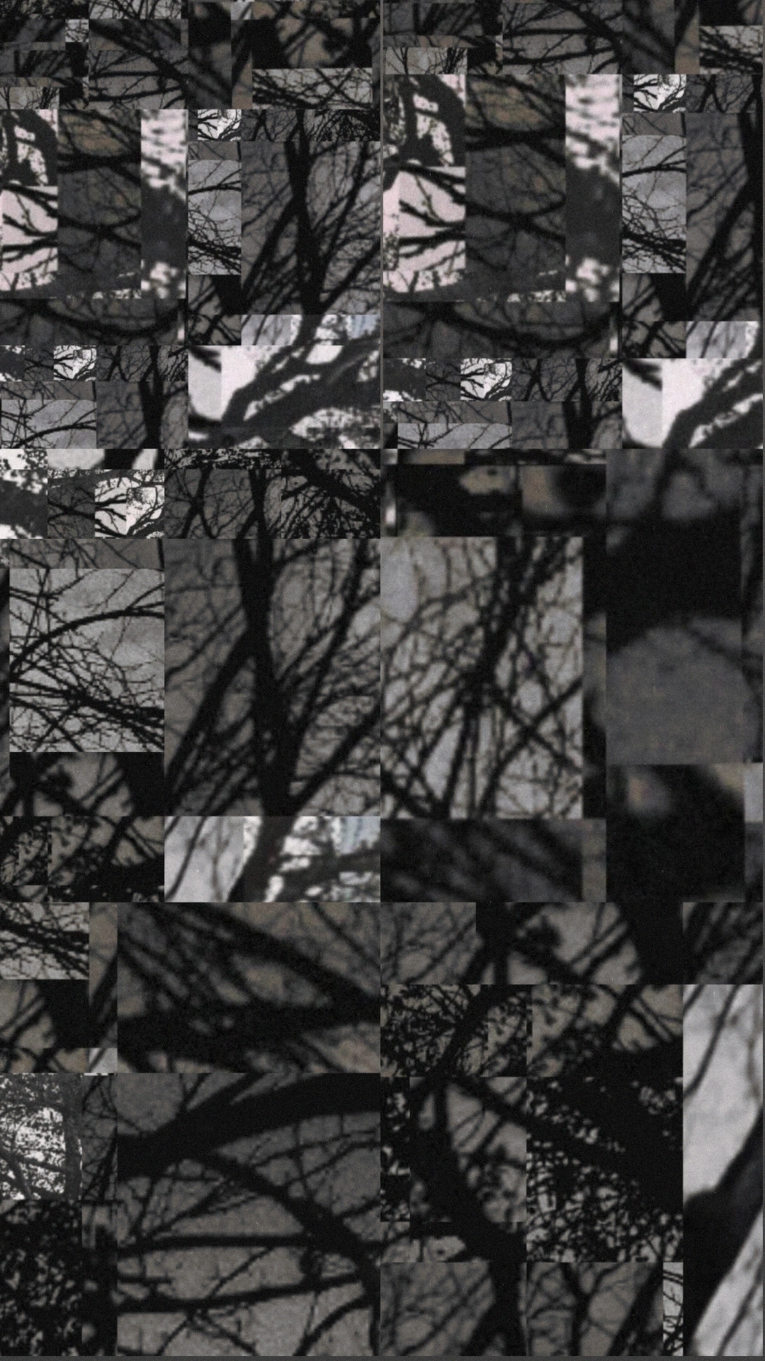 Abstract collage of black tree branches against gray sky.