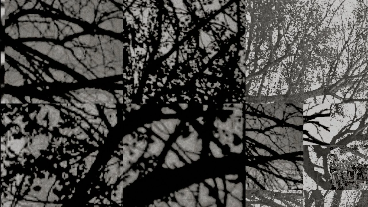 Black and white photo of tree branches without leaves, viewed against a gray sky.