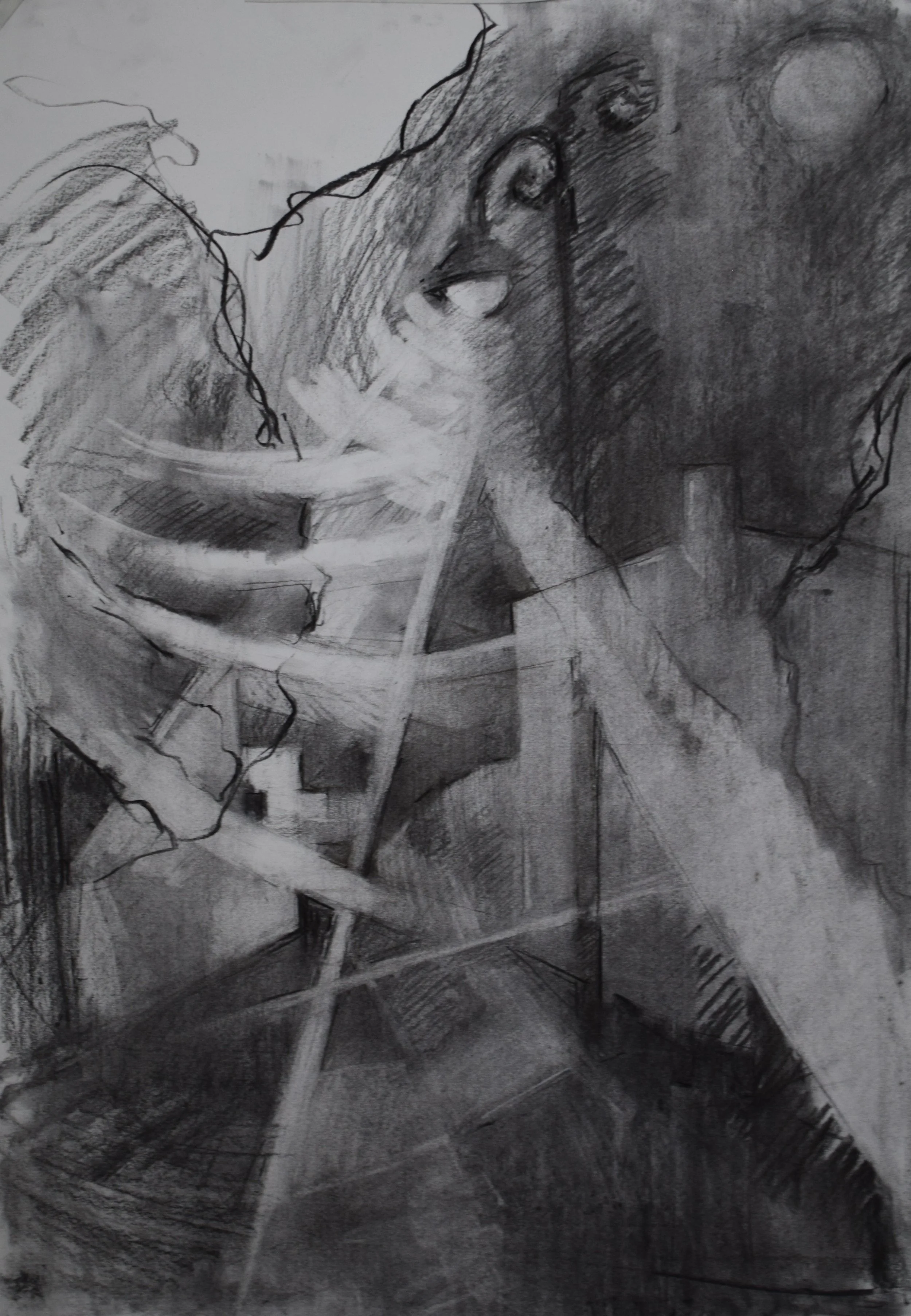 " Nocturnal III " , 2025, Charcoal on paper, 50 x 70
