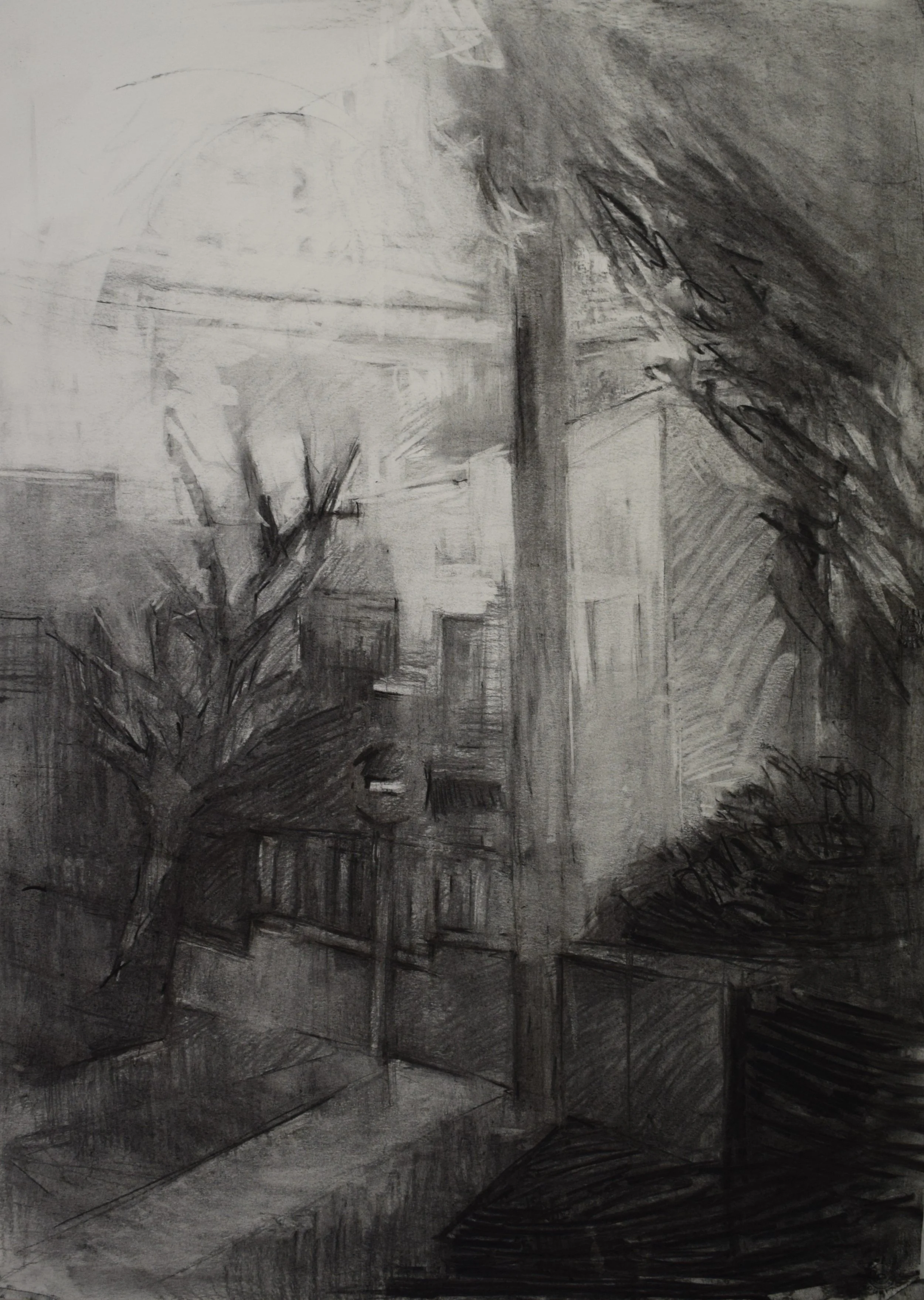 " Nocturnal II " , 2025, Charcoal on paper, 50 x 70 cm