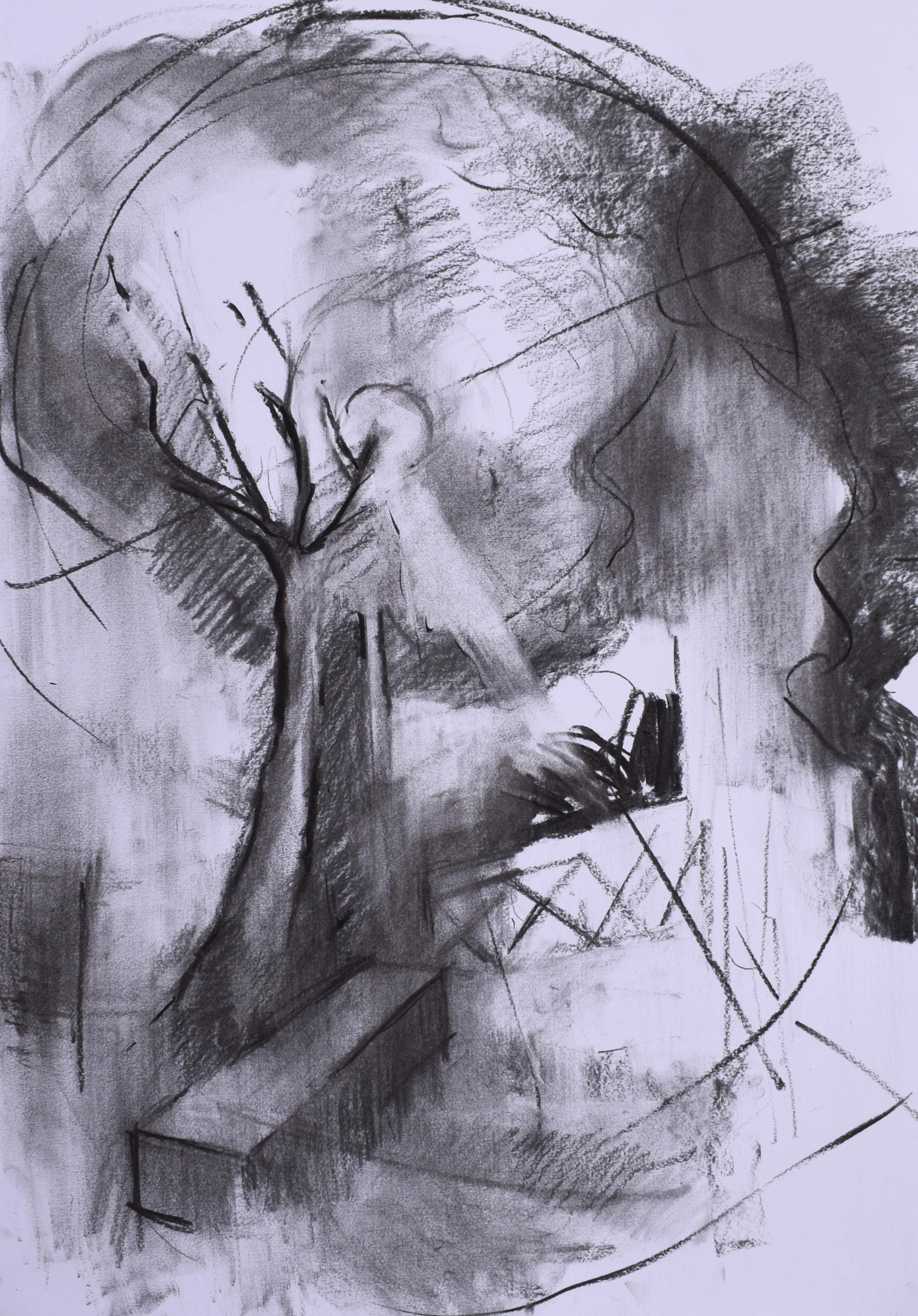 " Nocturnal VI ", 2025, Charcoal on paper, 50 X 70