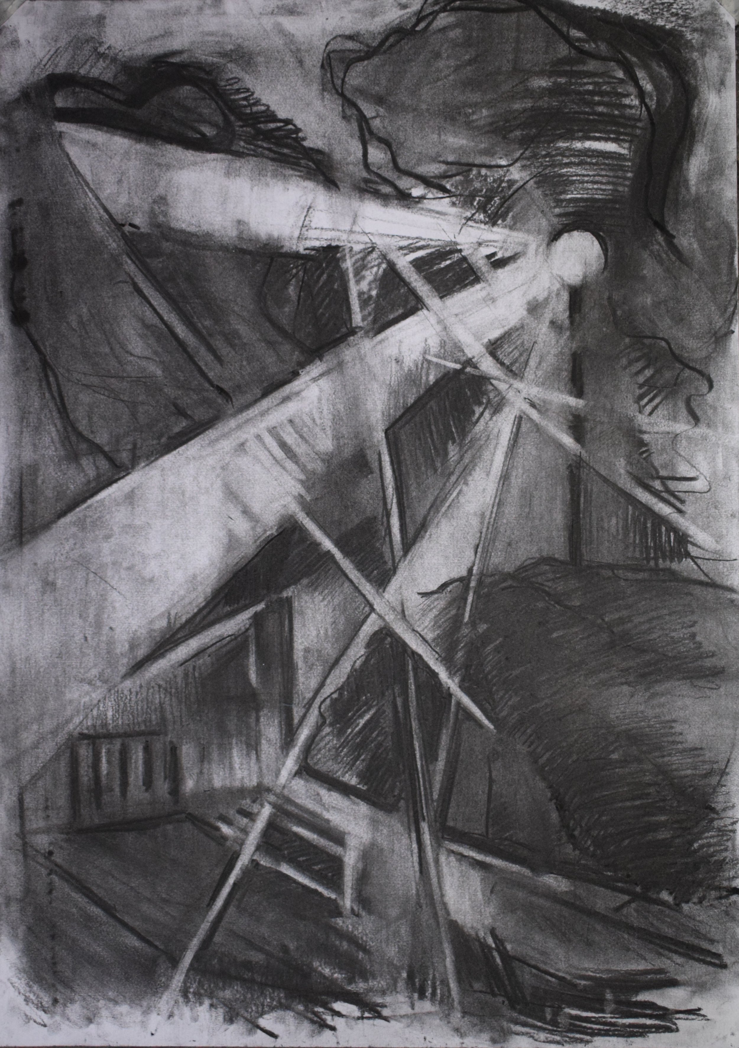 " Nocturnal V ", 2025, Charcoal on paper, 50 x 70