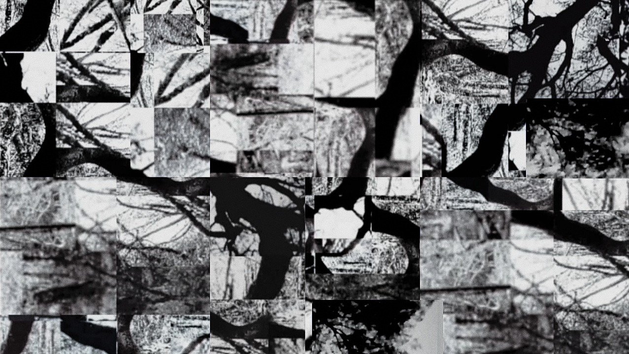 A black and white collage of tree branches against the sky with some artistic distortion.