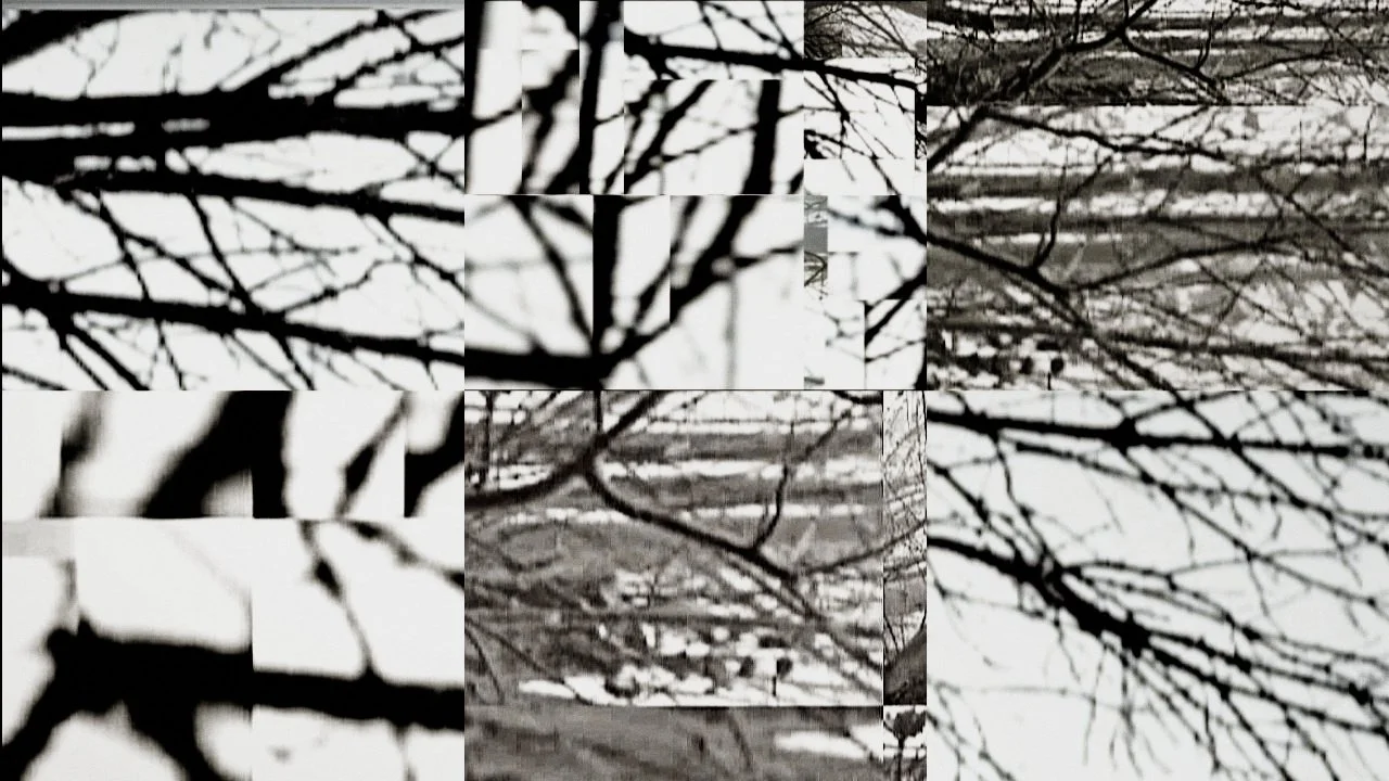 Black and white image of tree branches with no leaves, creating a stark, intricate pattern.