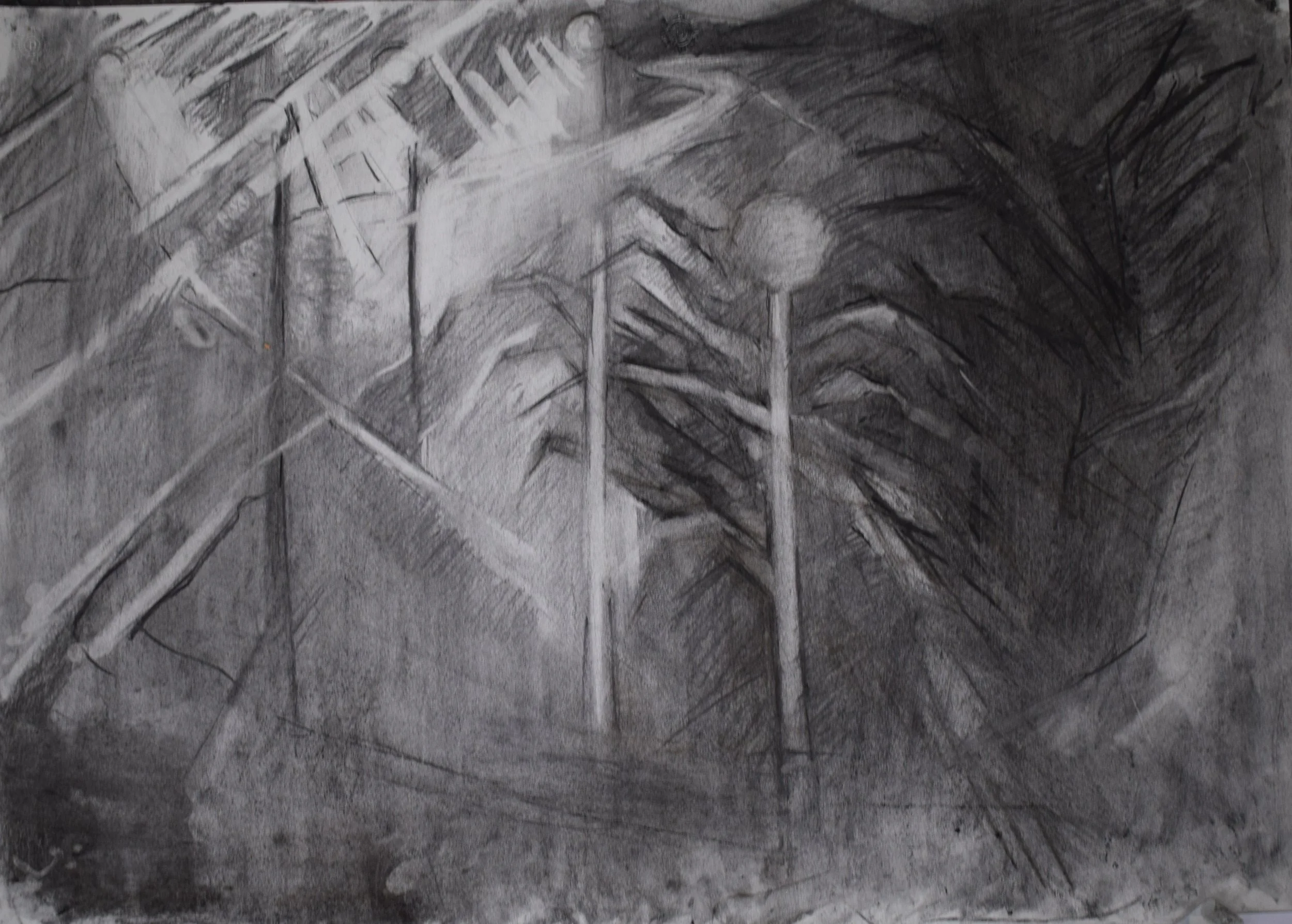 " Nocturnal IV ", 2025, Charcoal on paper, 50 x 70 cm
