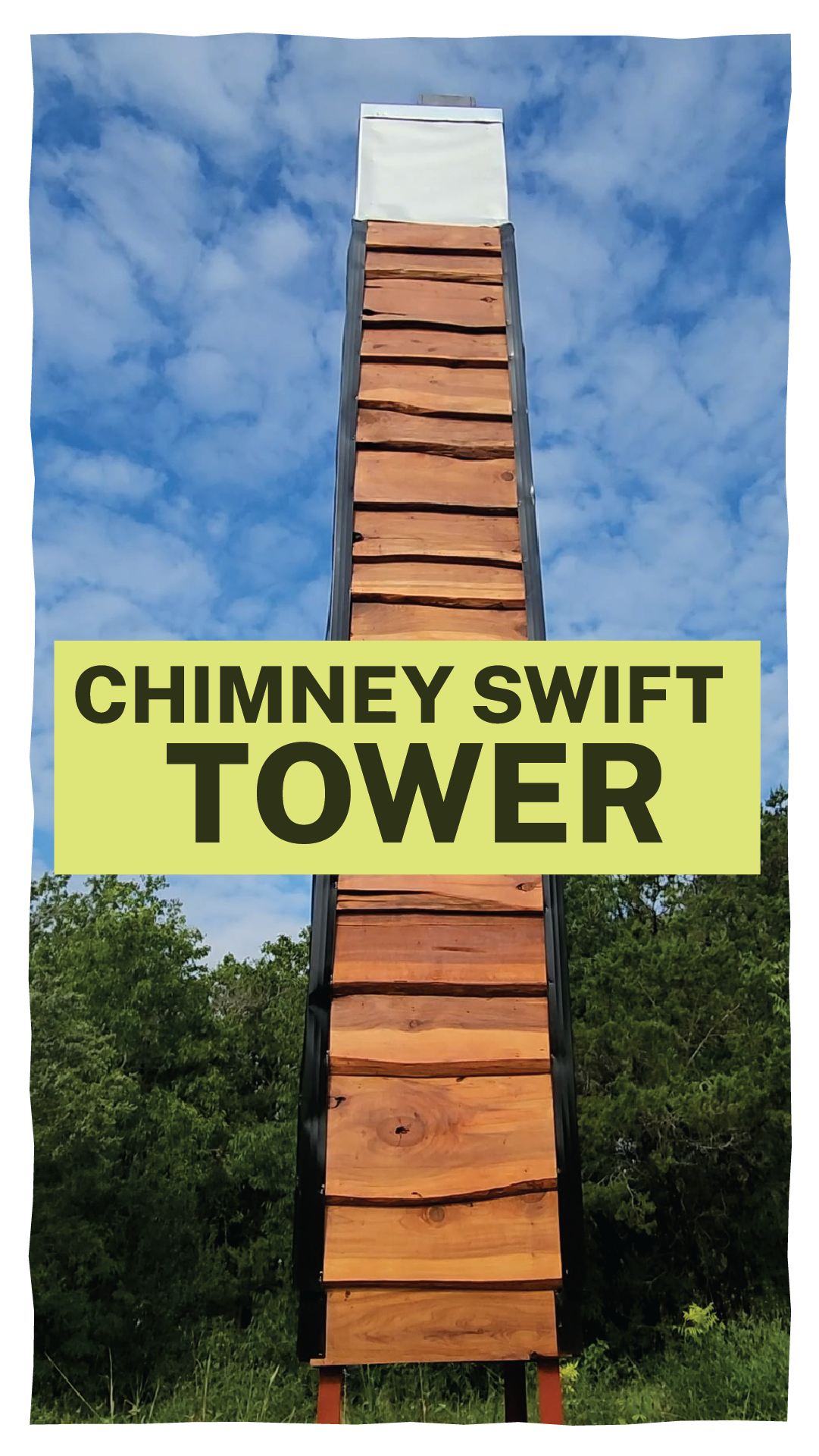 Educational content for The Natural Gardener