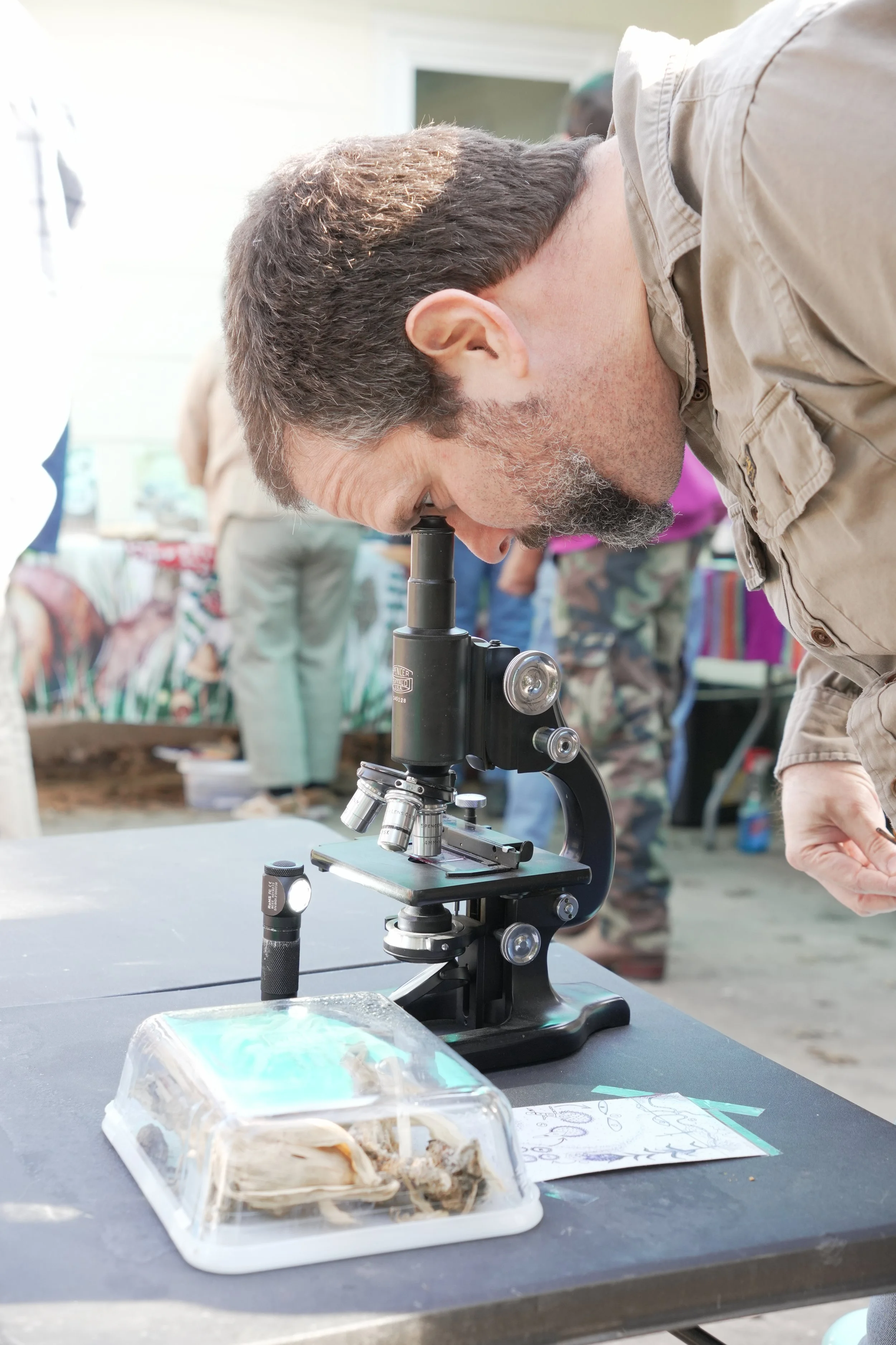 Seed to Smut Workshop | Central Texas Mycological Society 