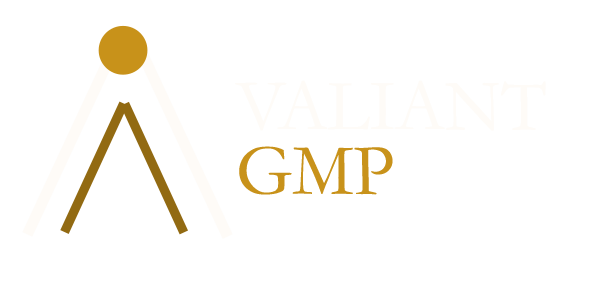 Valiant Group