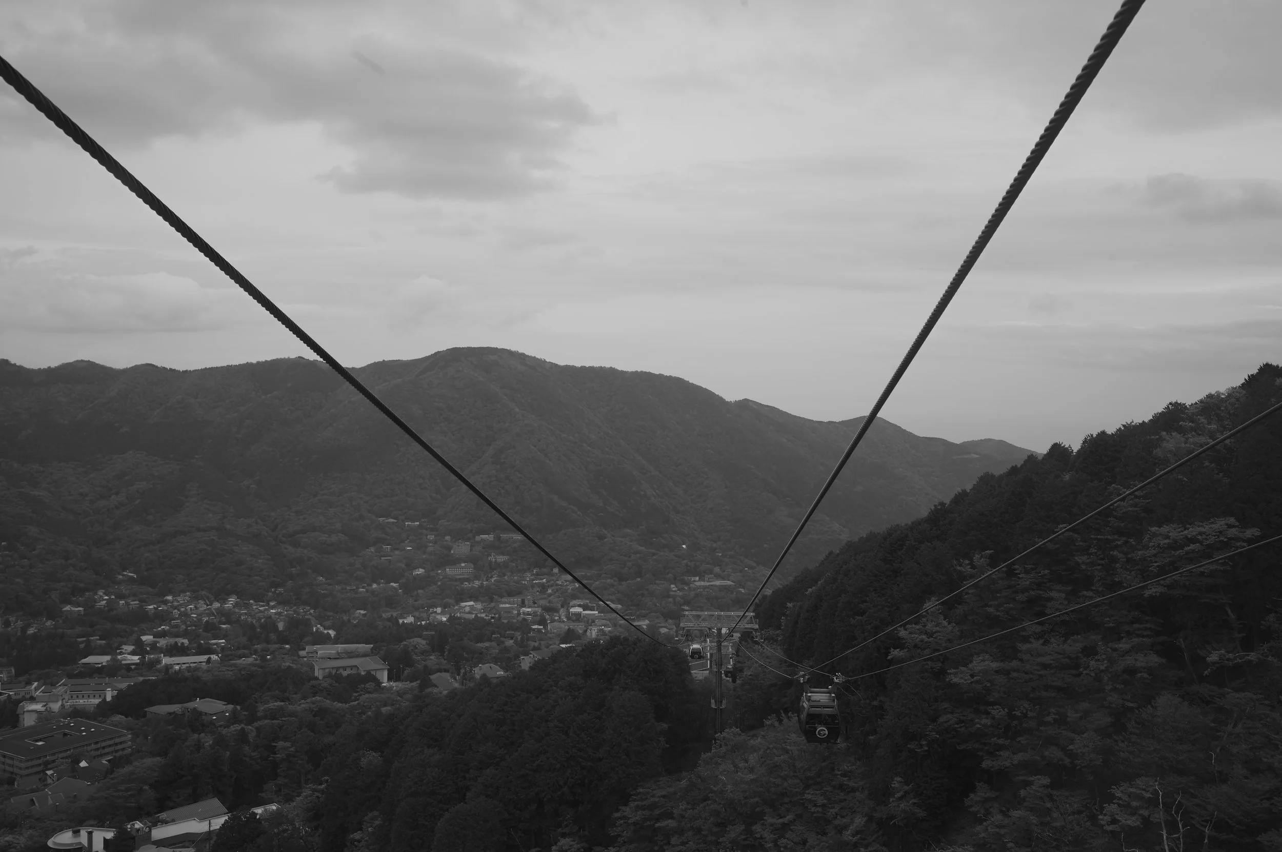 L2607589.JPG