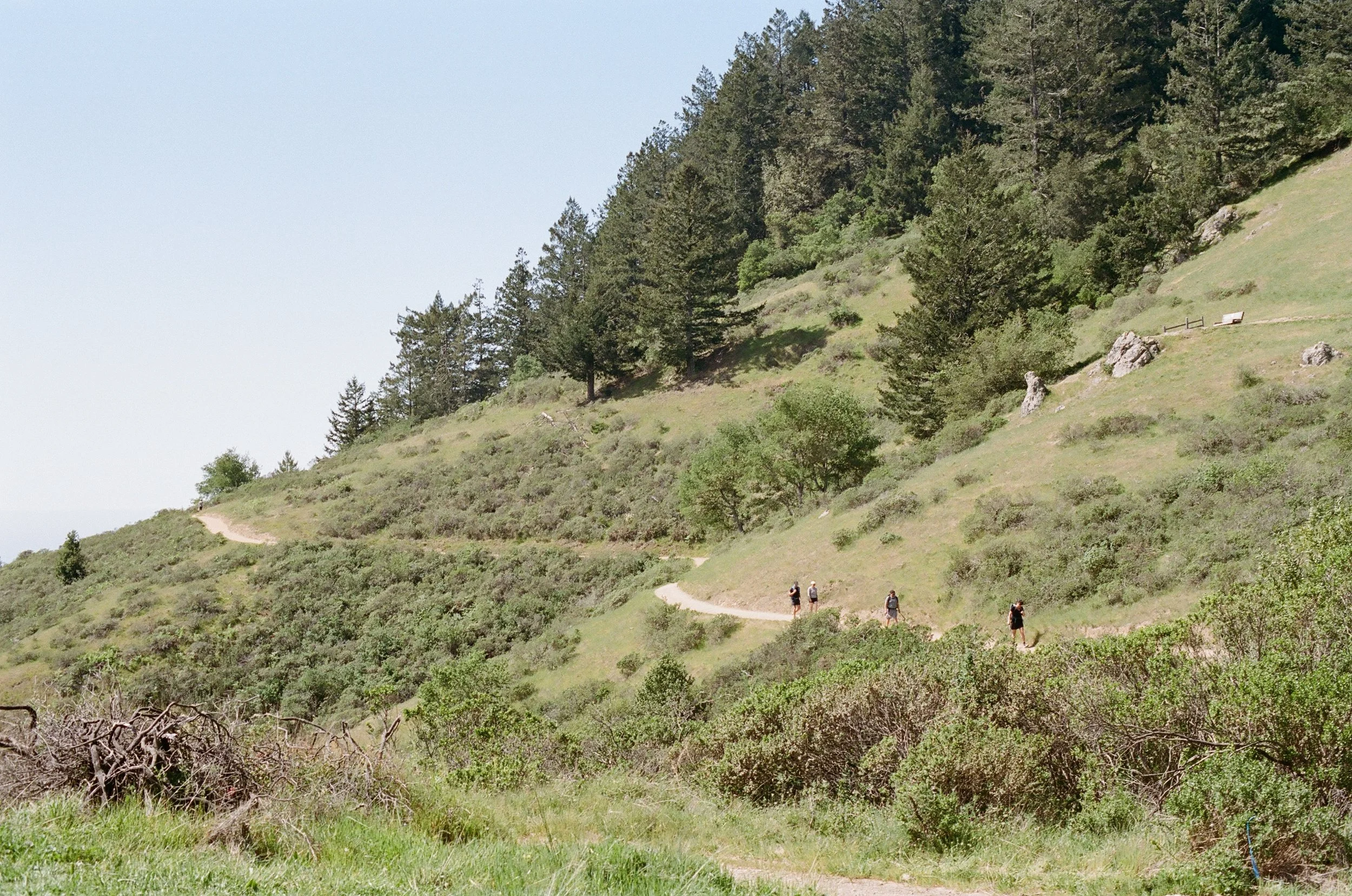 Dipsea trail midpoint, 2026