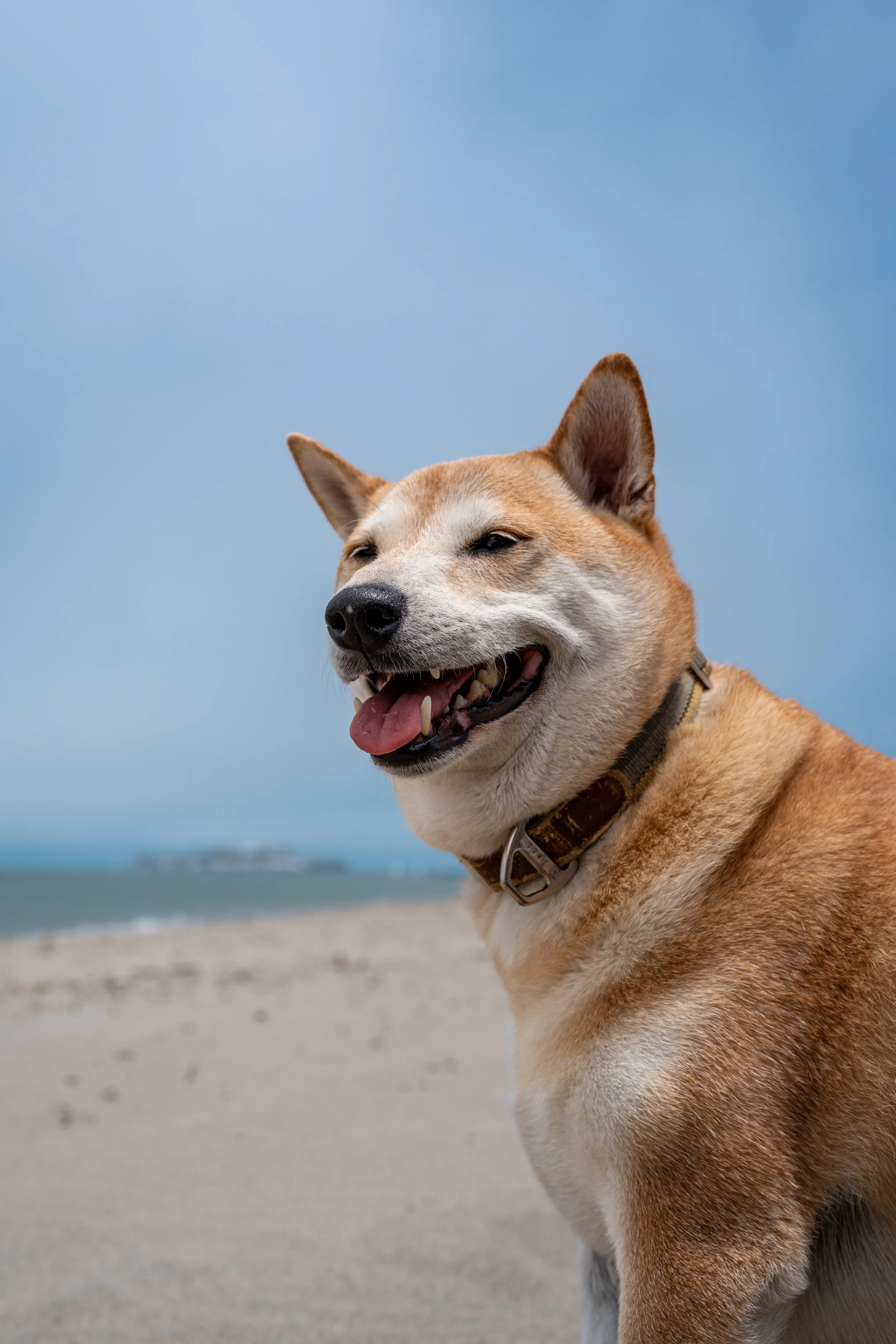 Crissy Fields Beach - May 26, 2025