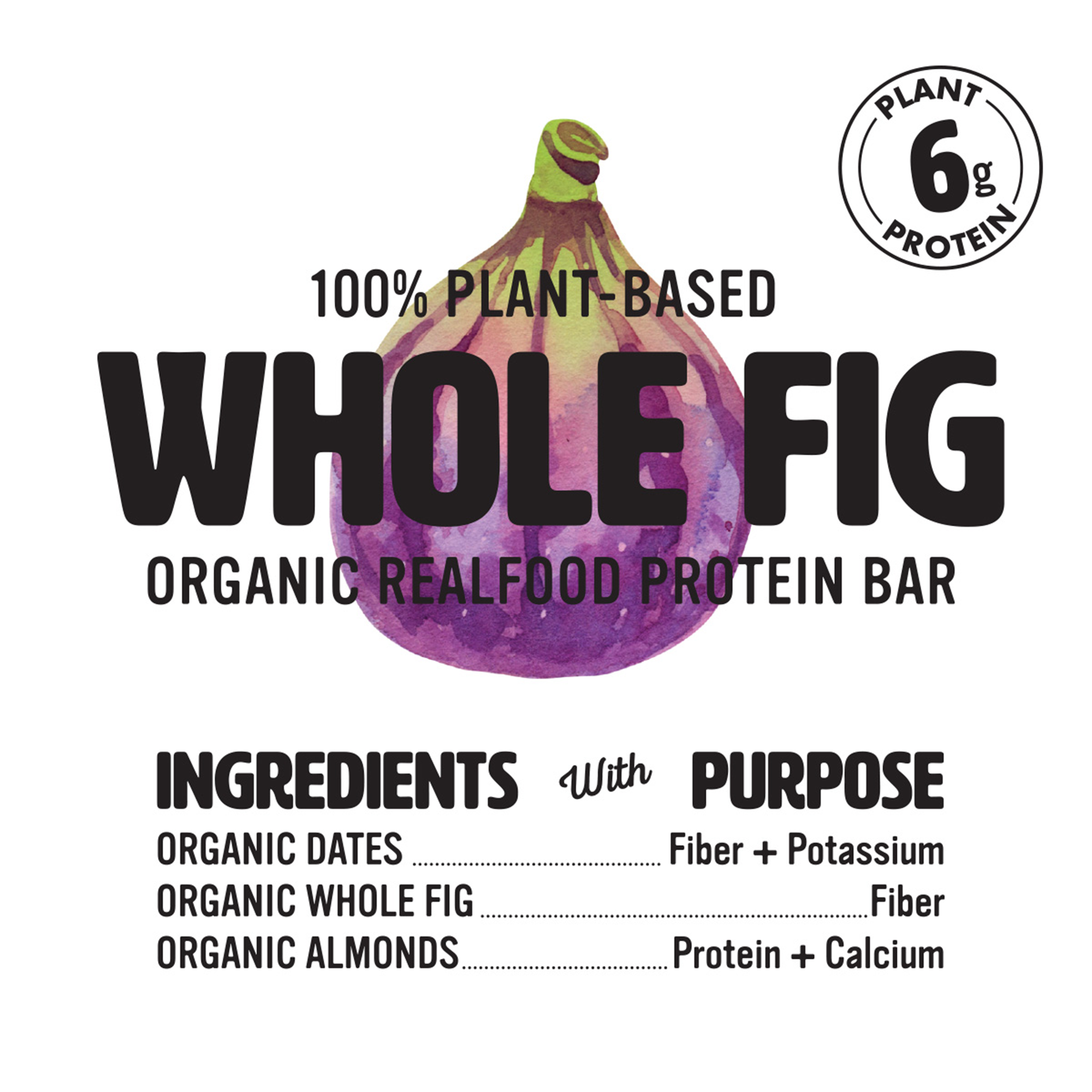 Whole Fig.png