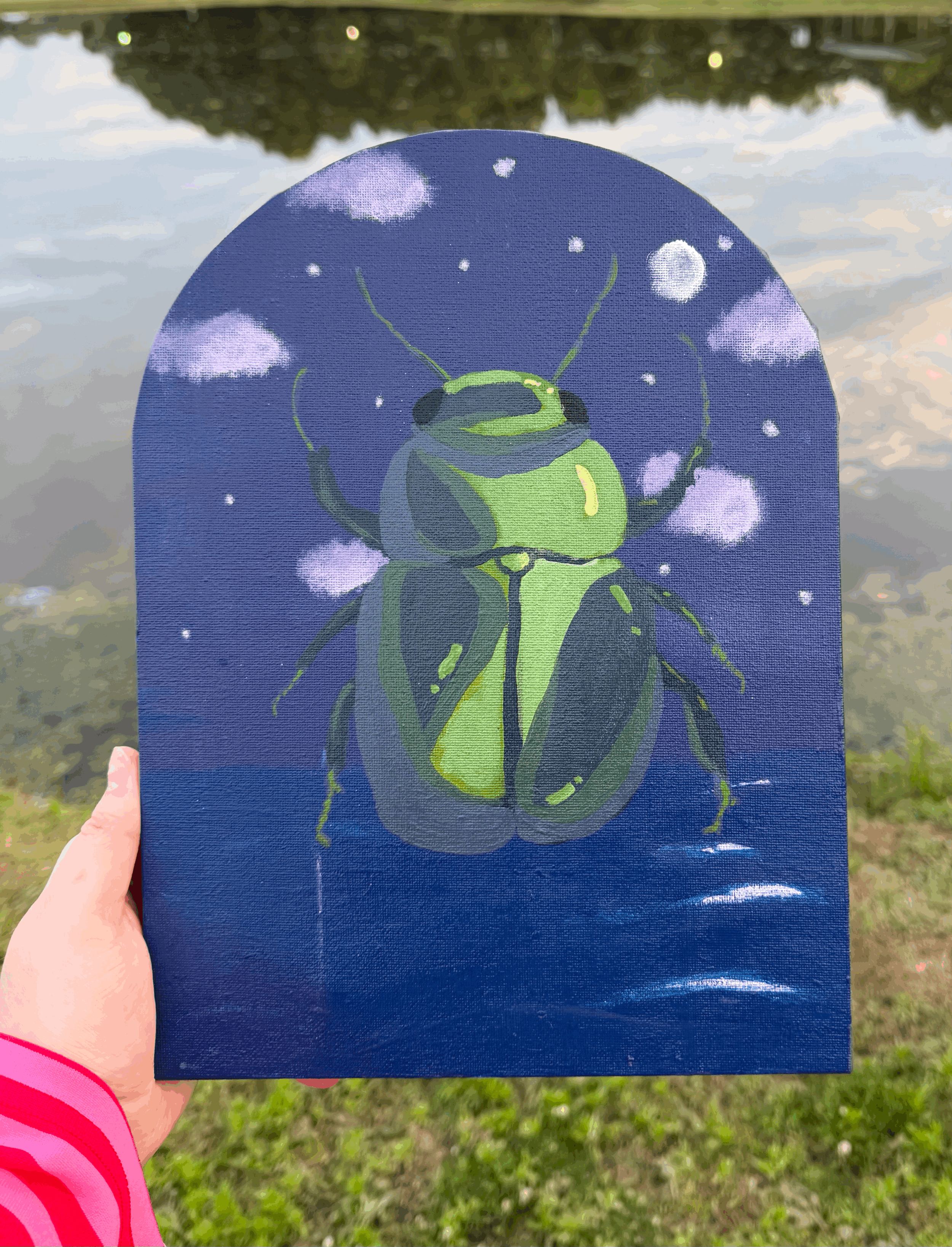 Iridescent Beetle Lake